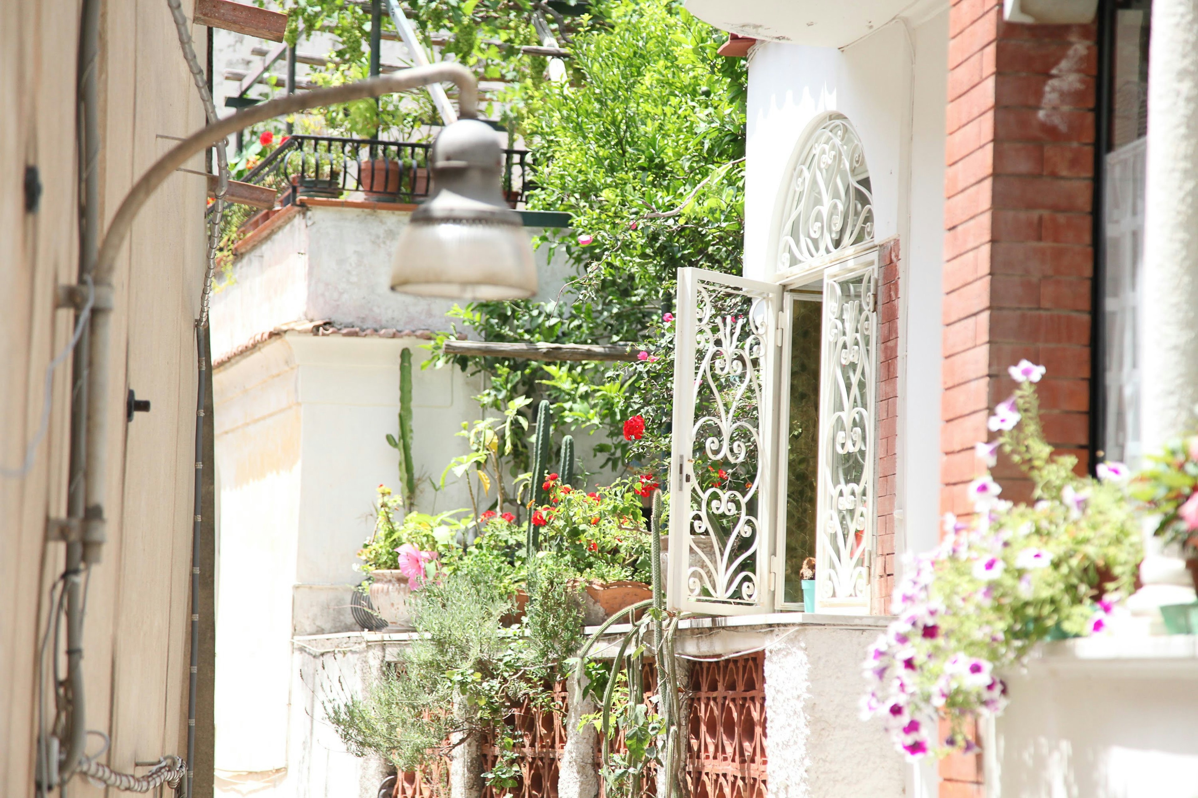 Una vista escénica con una ventana abierta con hierro forjado rodeada de vegetación y flores exuberantes