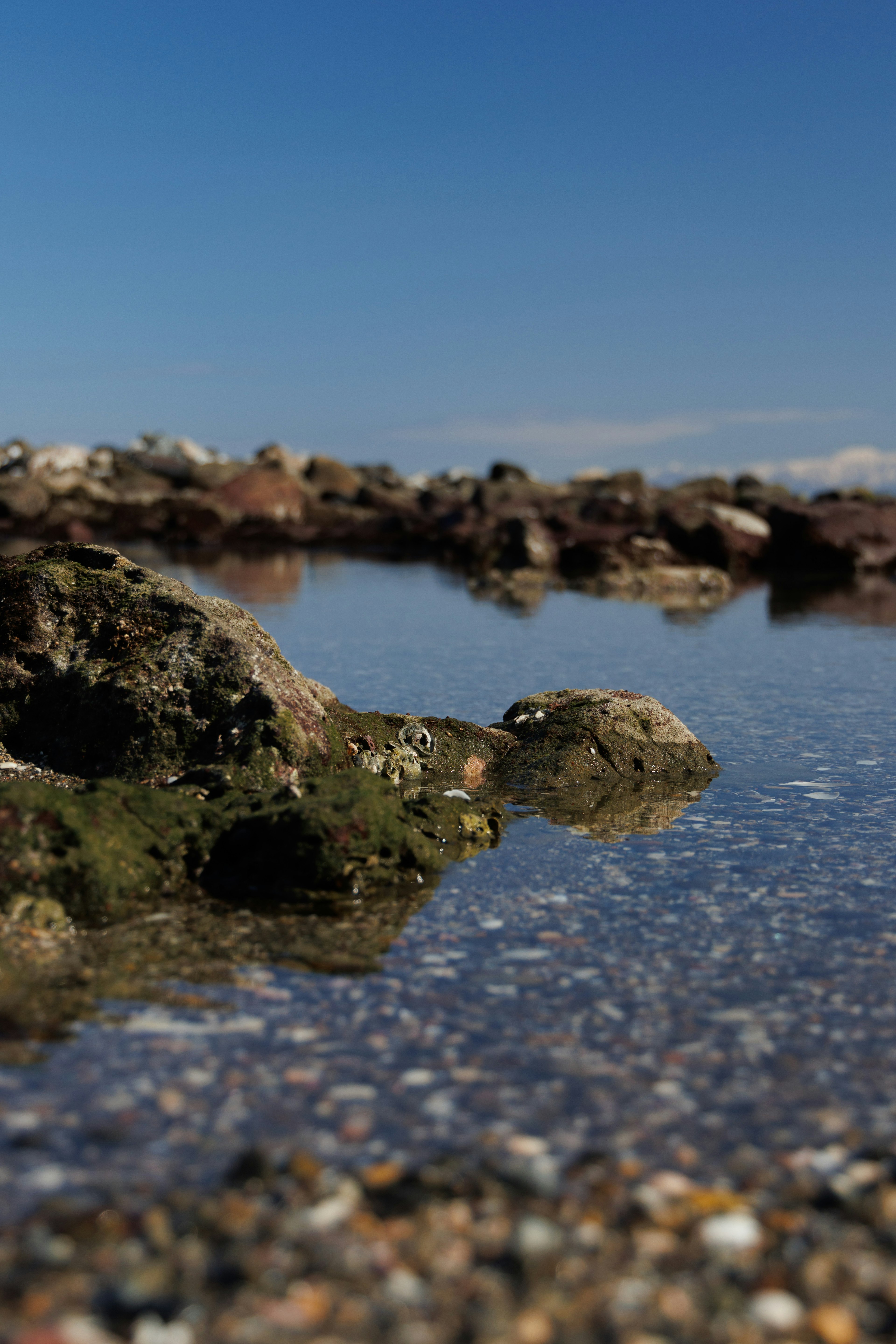 Coastal scene with rocks and shallow water