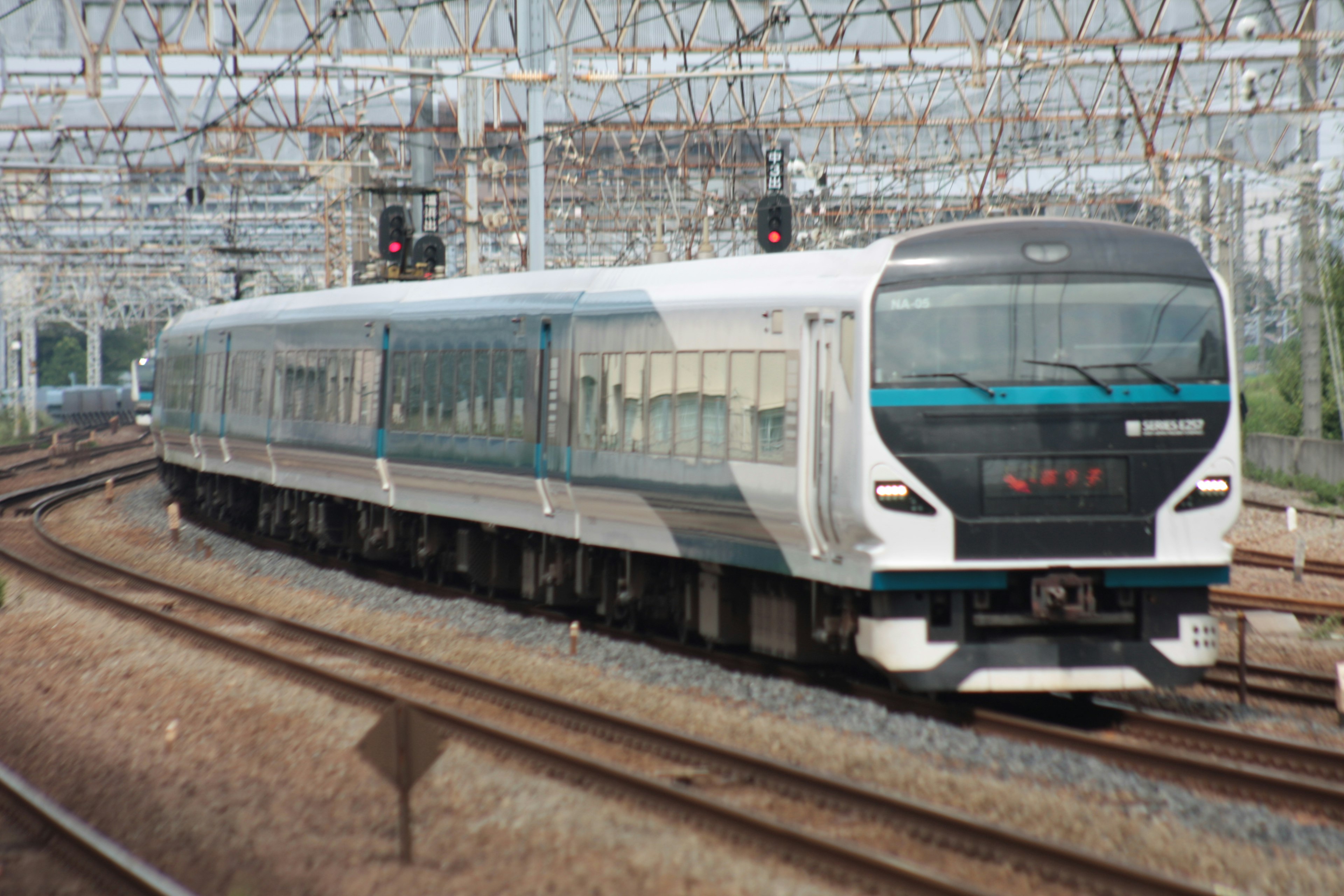 Treno moderno bianco e blu che viaggia sui binari