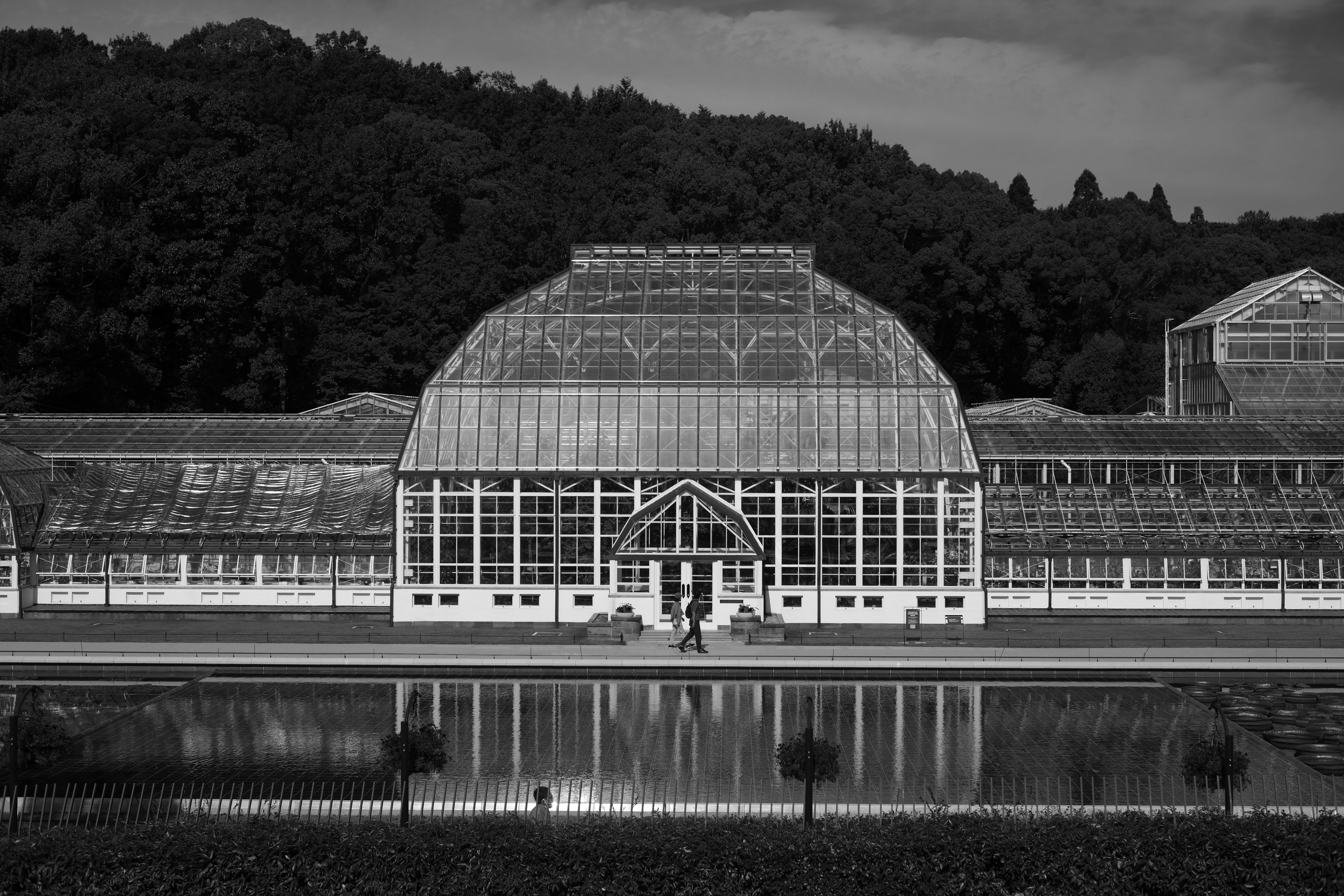 Hermosa fachada de invernadero en blanco y negro con reflejo en el estanque y bosque verde de fondo