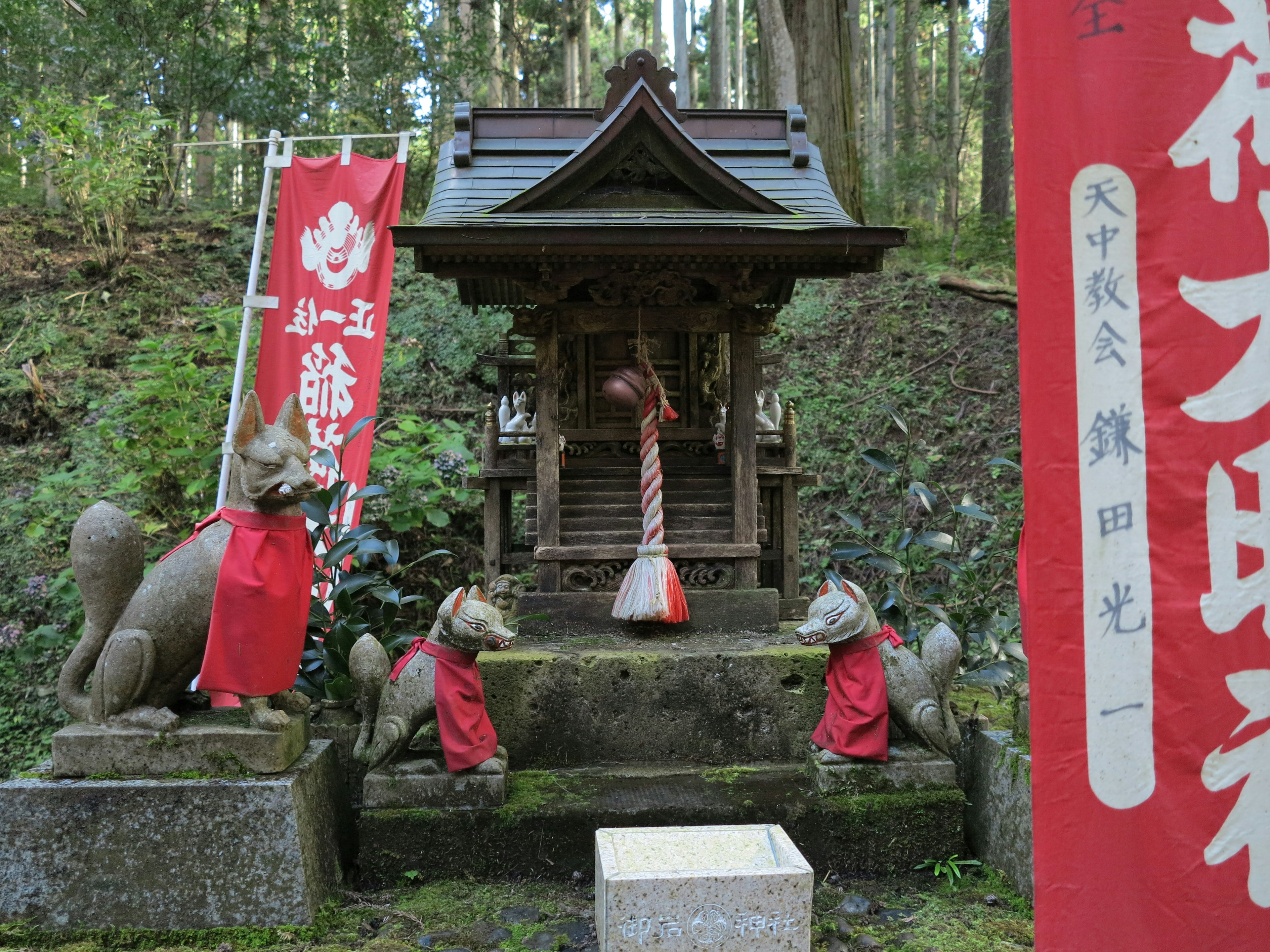 赤い布をまとった狐の像が並ぶ神社の風景