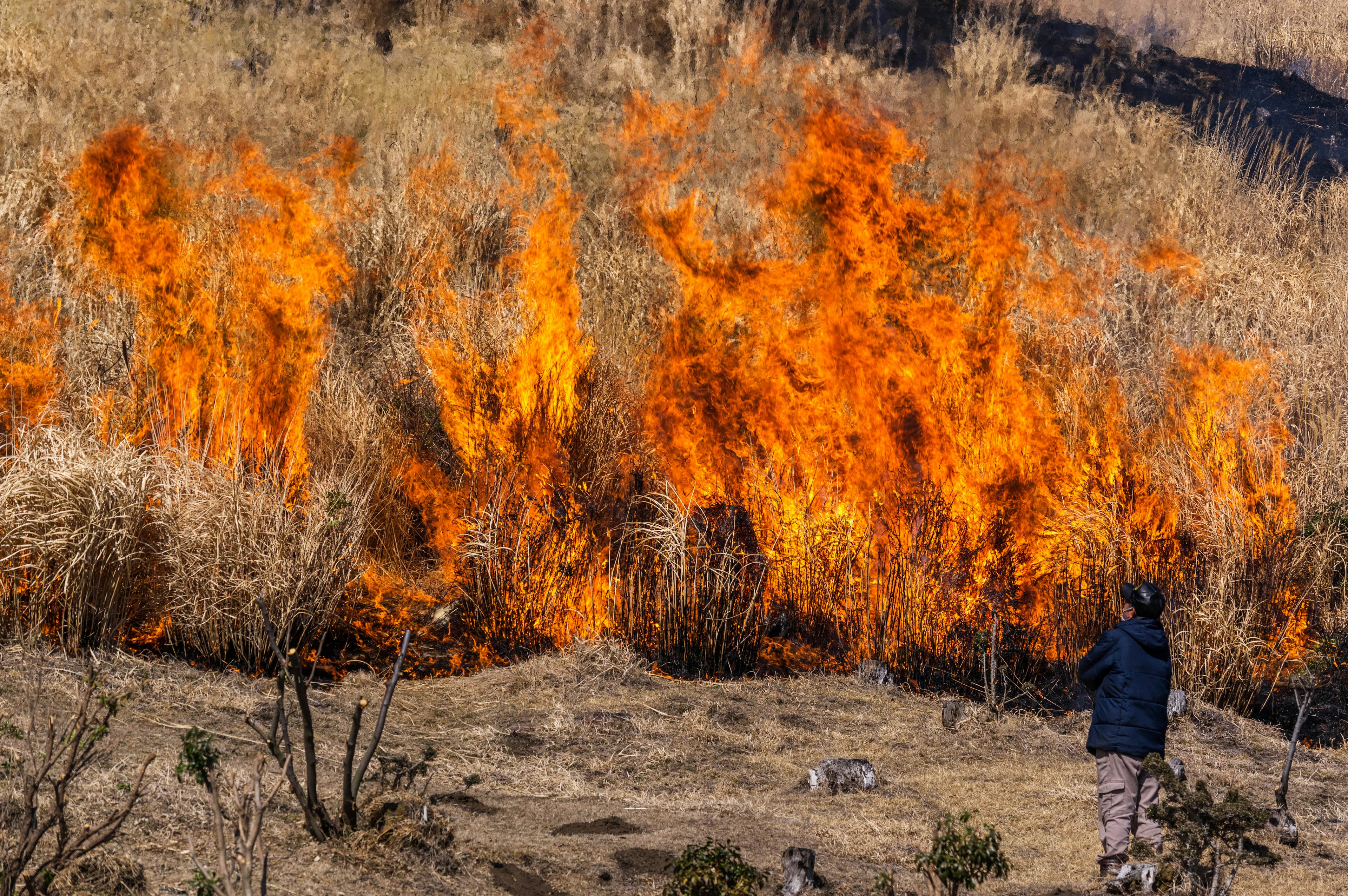 Eine Person beobachtet ein großes Feuer, das durch trockenes Gras brennt