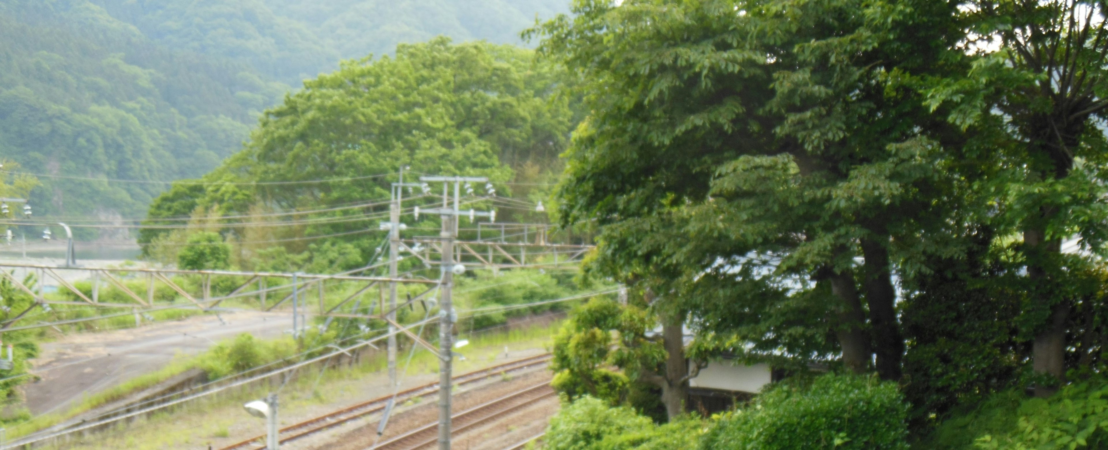 緑豊かな山と鉄道の風景で、電線と線路が見える