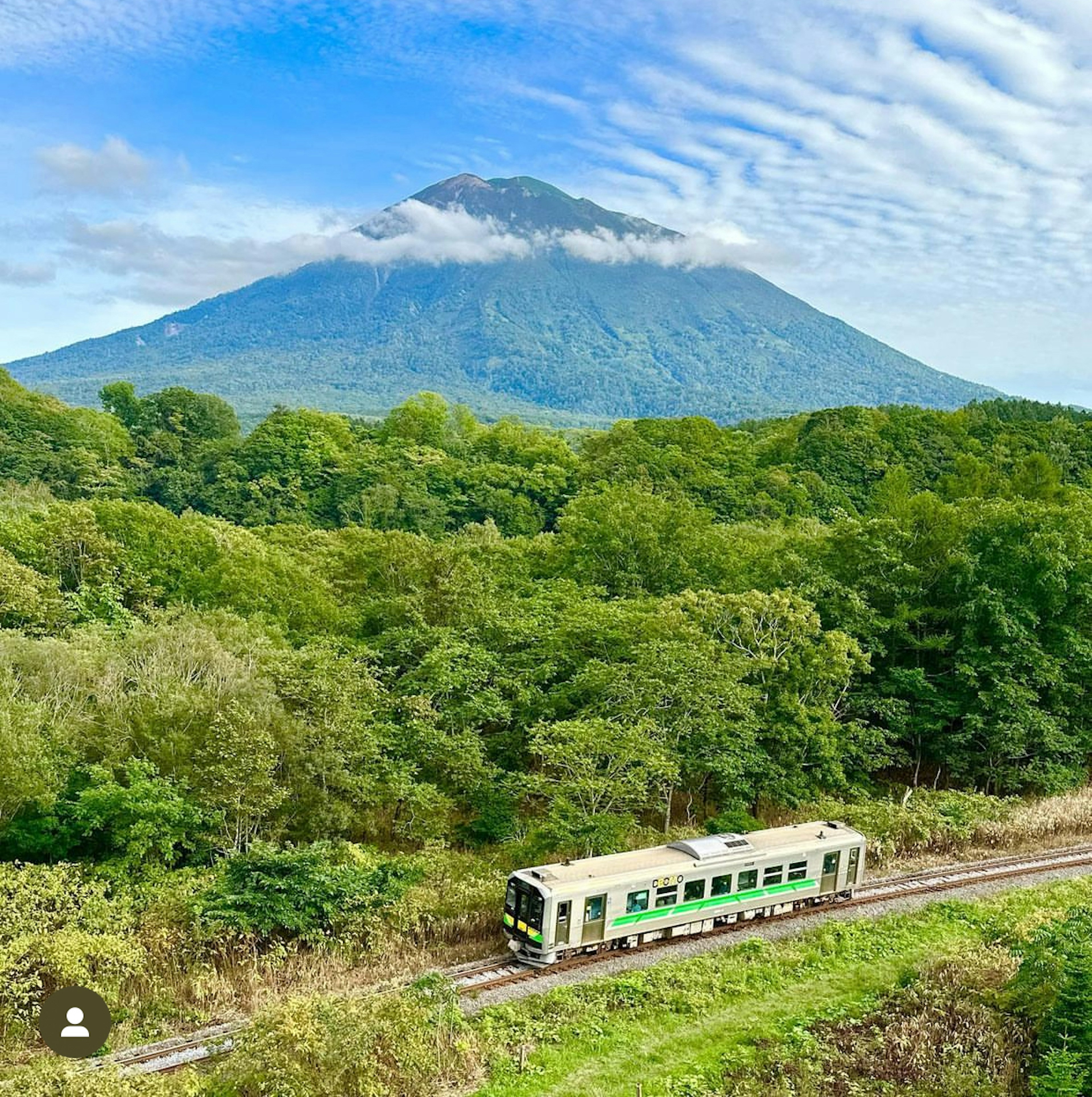 Train traveling through lush green forest with a mountain backdrop