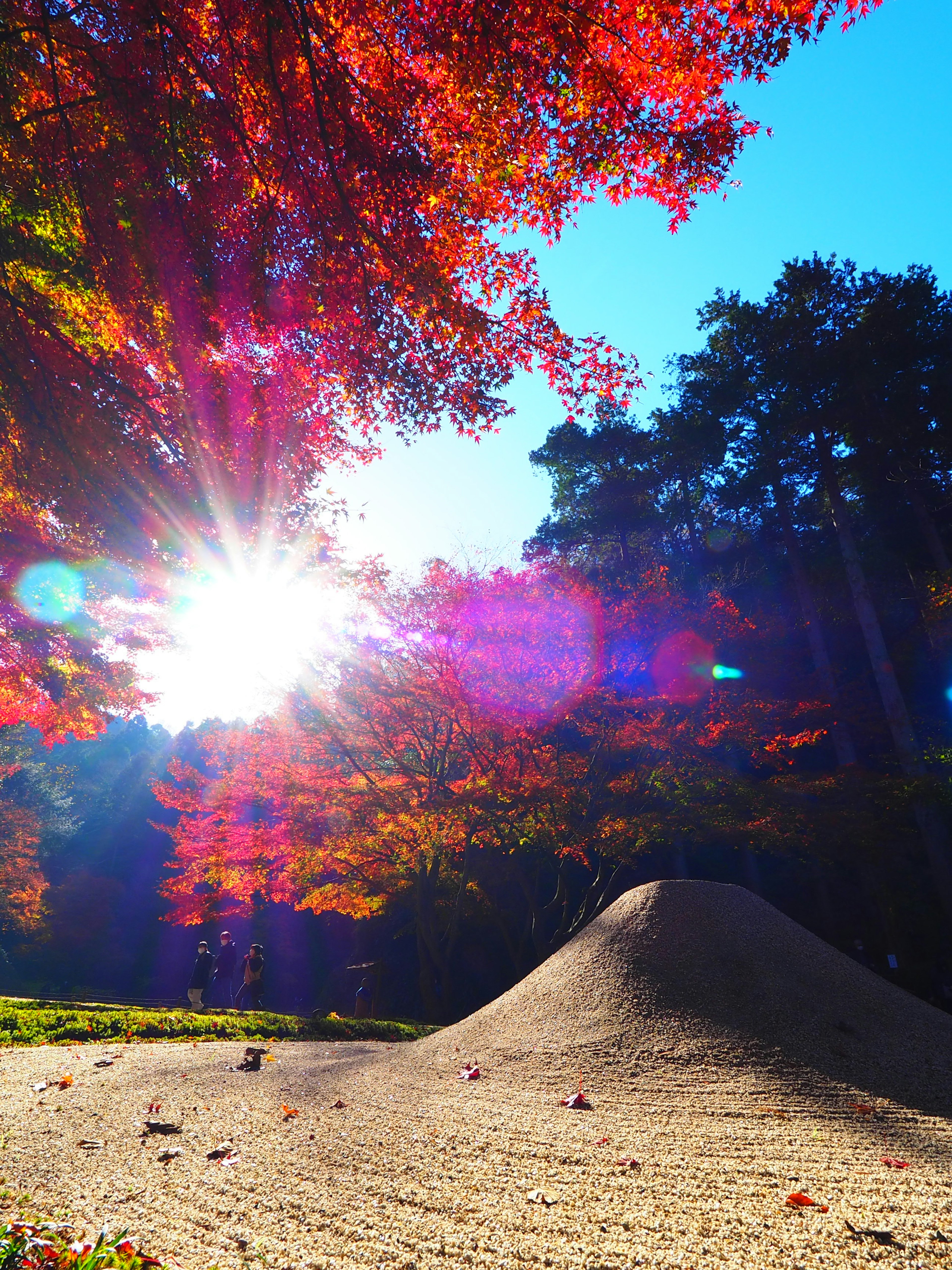 秋の紅葉が美しい公園の風景 太陽が輝く中 砂の小山が見える