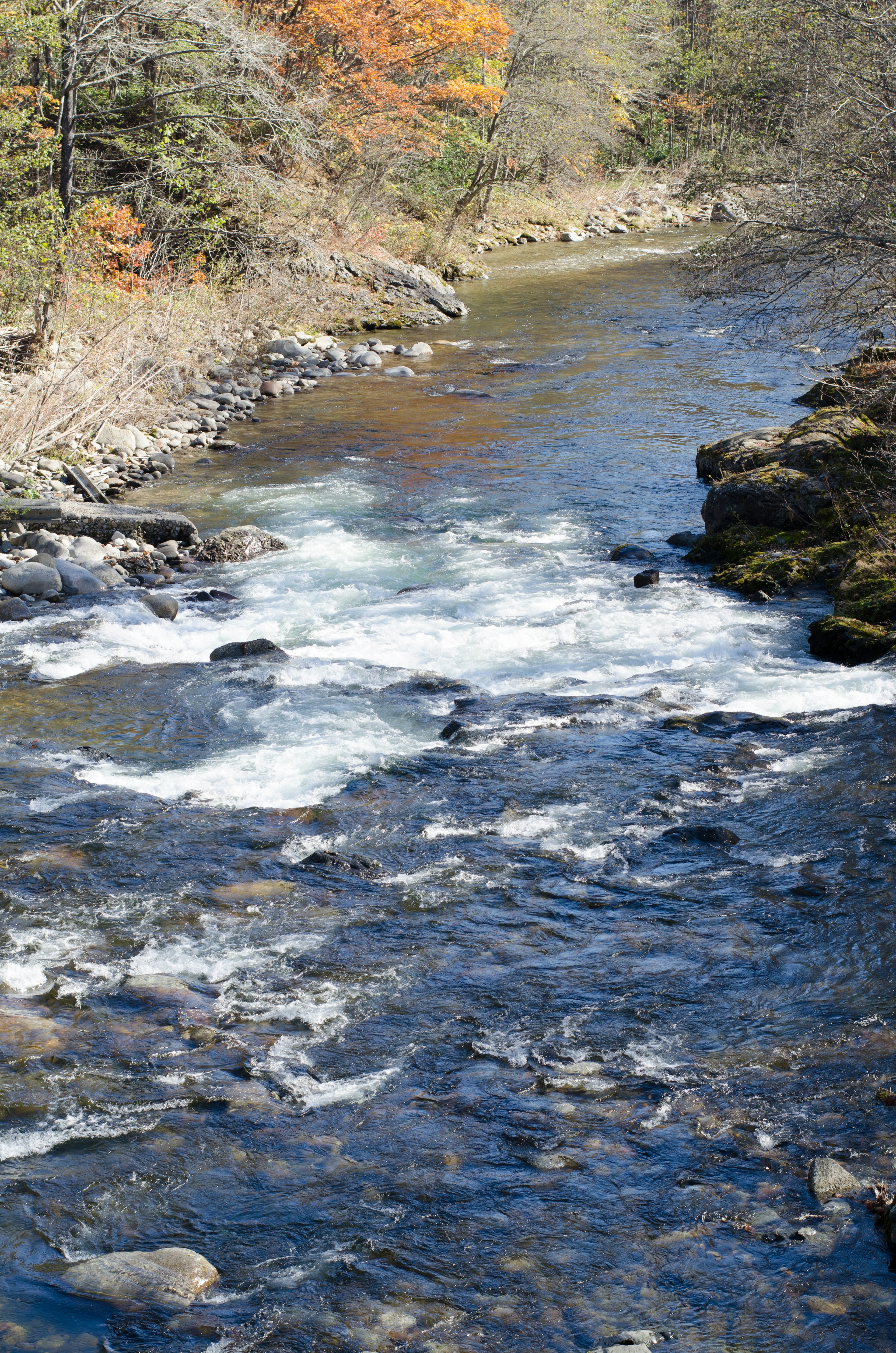 Vista panoramica di un fiume con acqua corrente e sponde rocciose