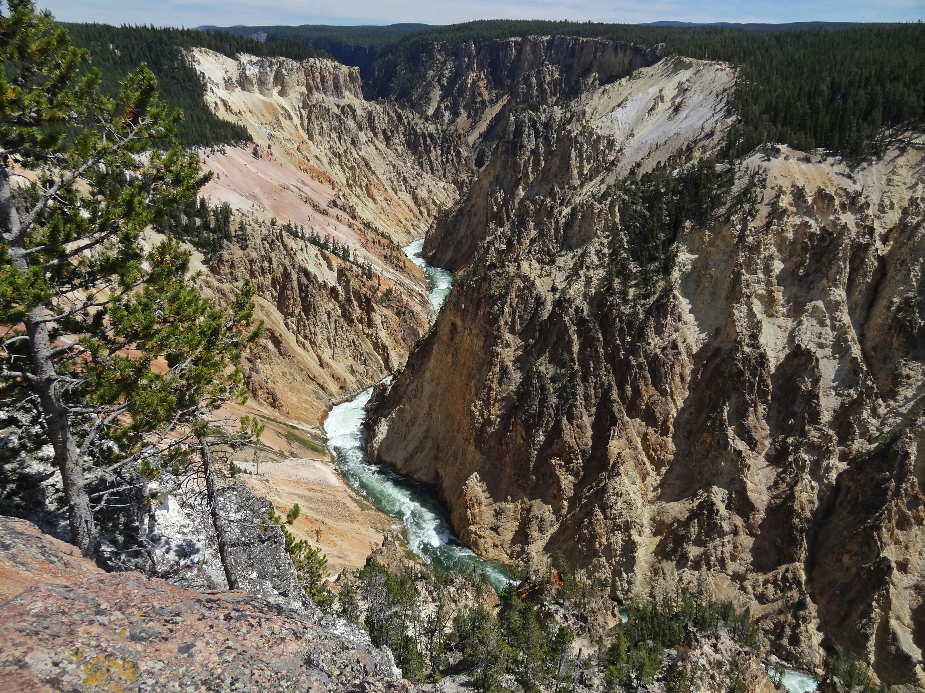 Vista escénica del Parque Nacional Yellowstone con un río y un cañón