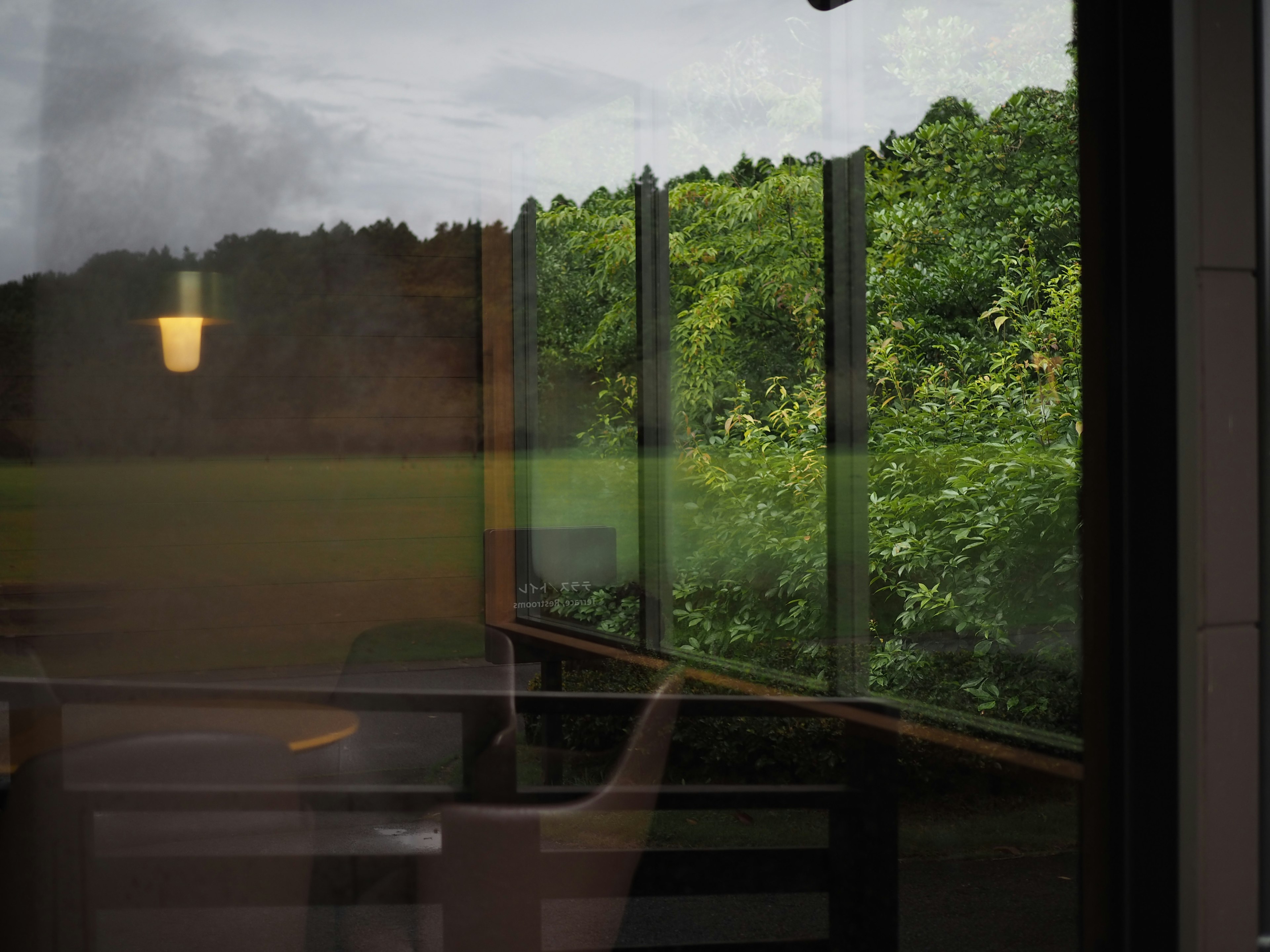 View of lush greenery through glass panels from inside