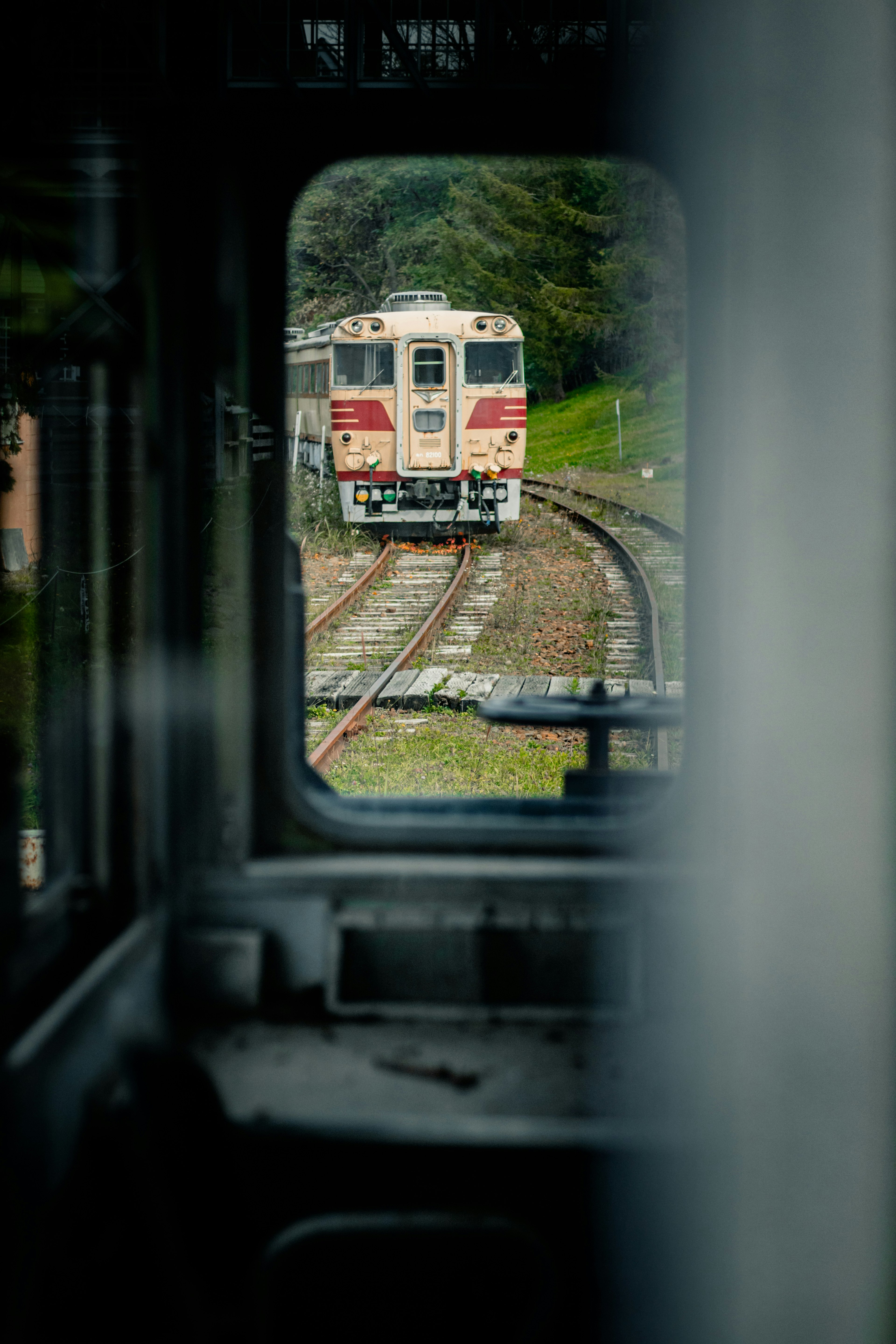 Vista de un tren desde el interior de un vehículo enmarcada por una ventana rodeada de vegetación