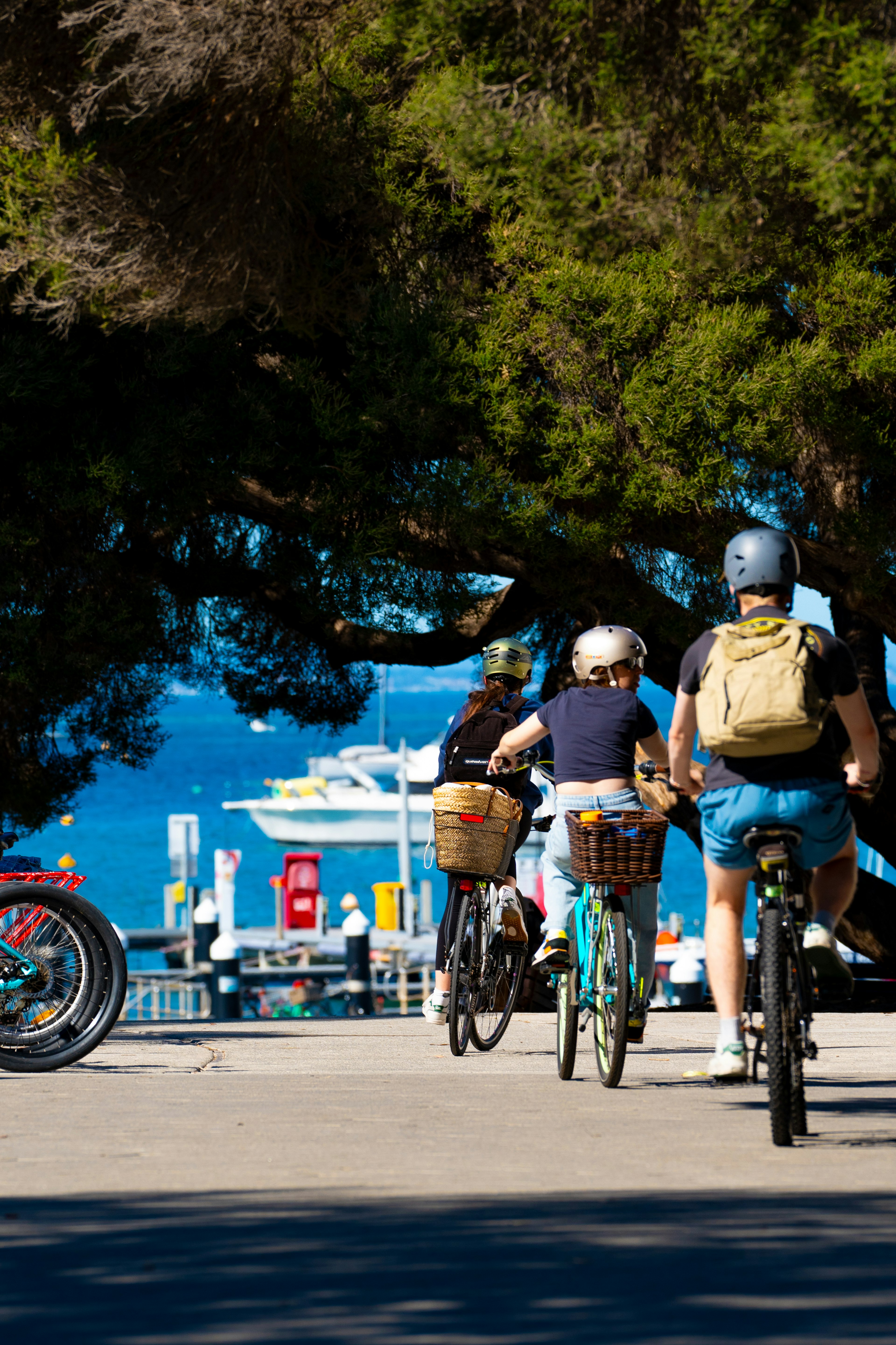 自転車に乗る人々が青い海を背景に歩道を進む風景