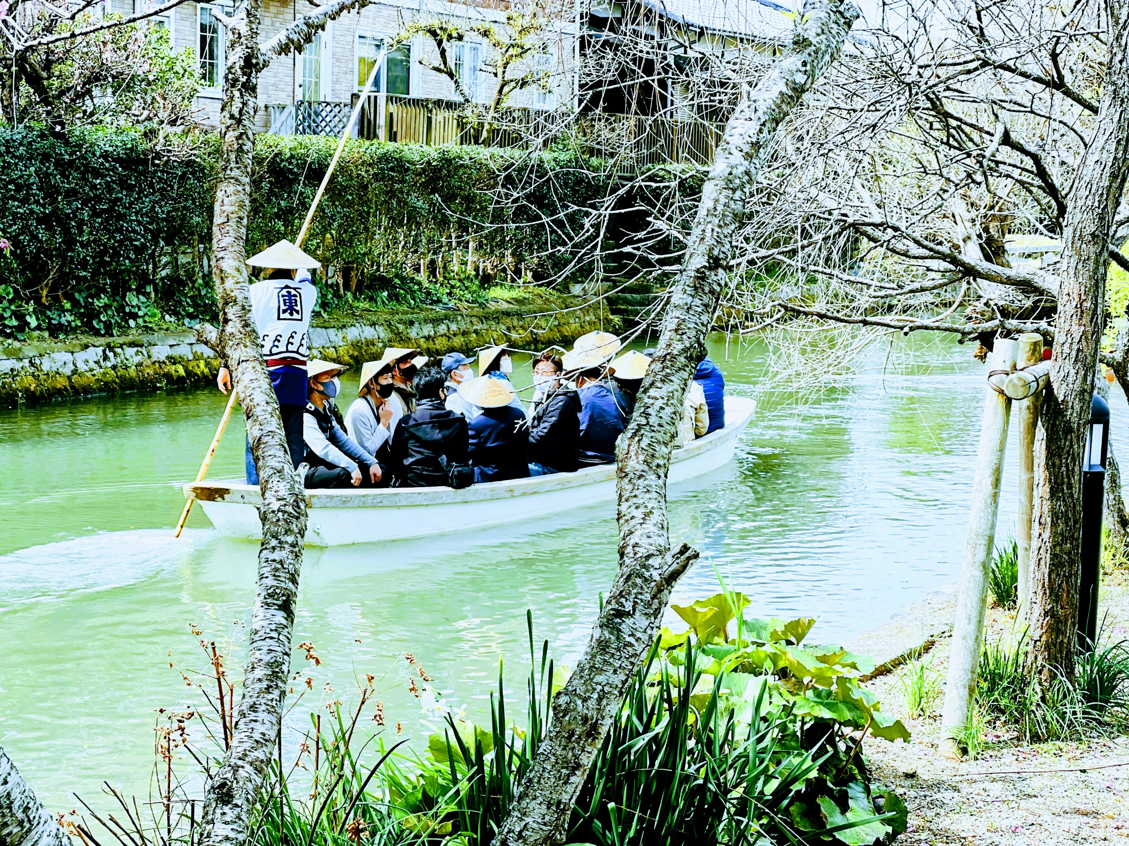 Una barca con passeggeri che naviga in un fiume circondato da alberi