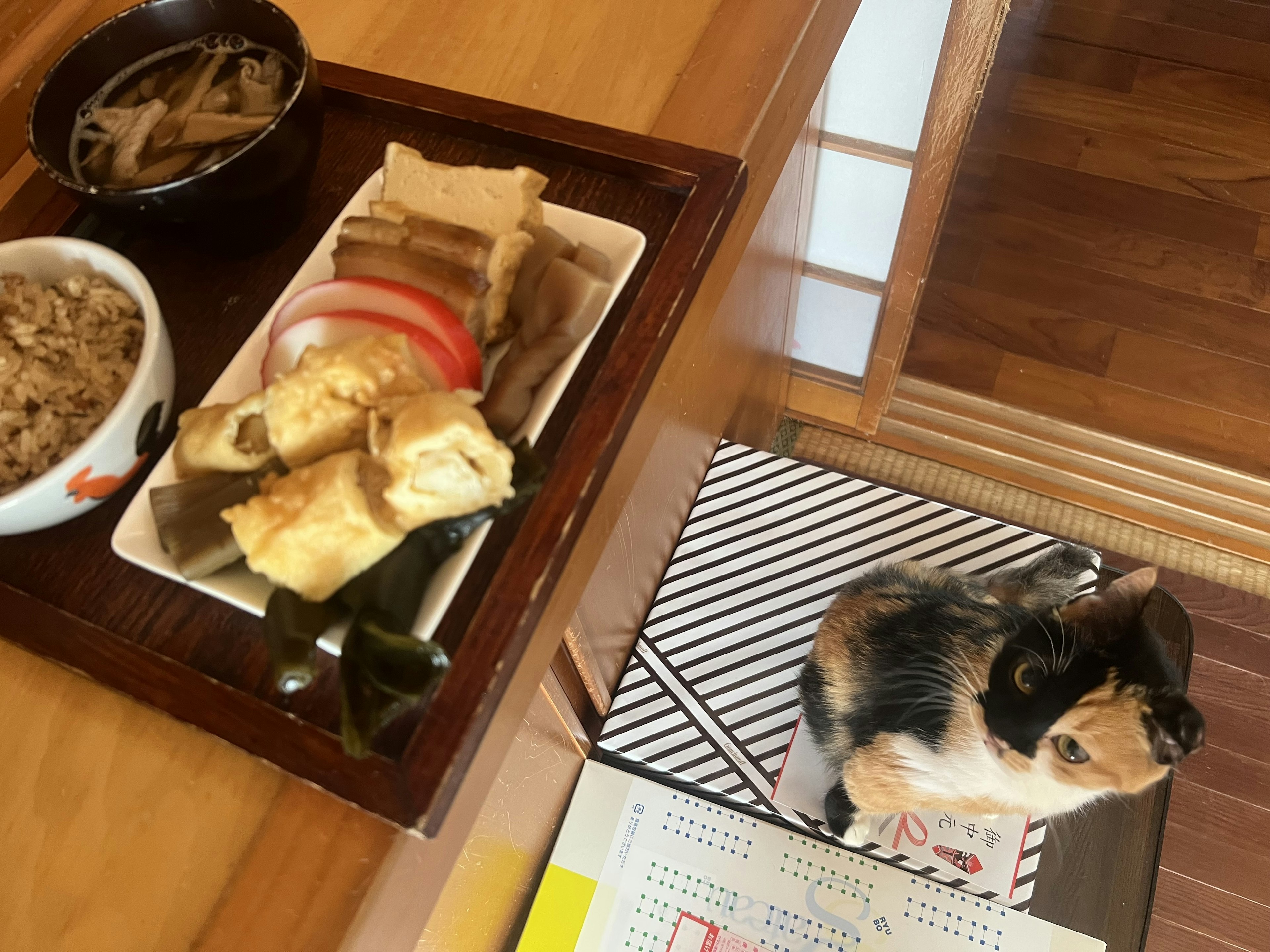 テーブルの上に和食の盛り合わせと猫がいる