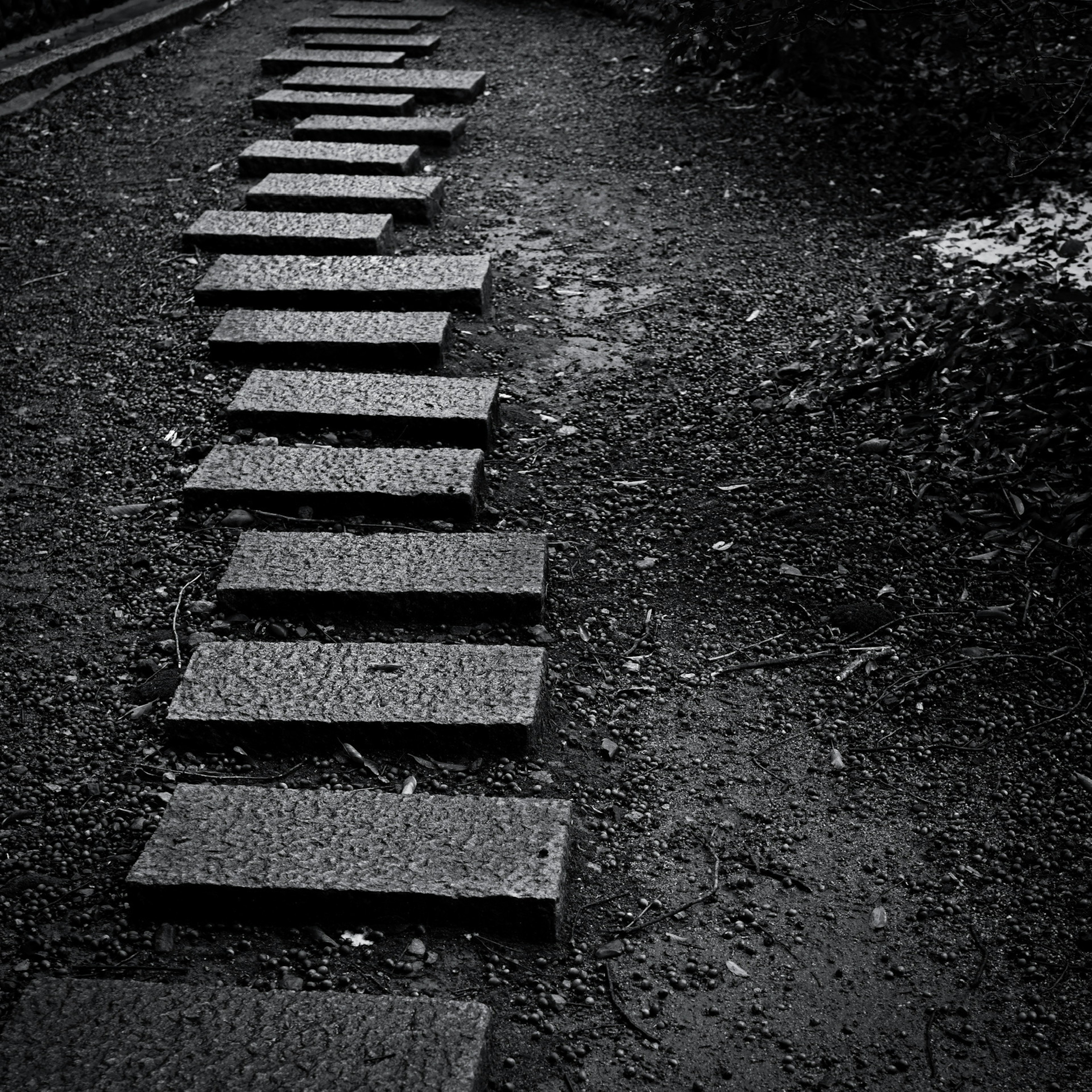 A black and white pathway made of stone slabs leading through a natural setting