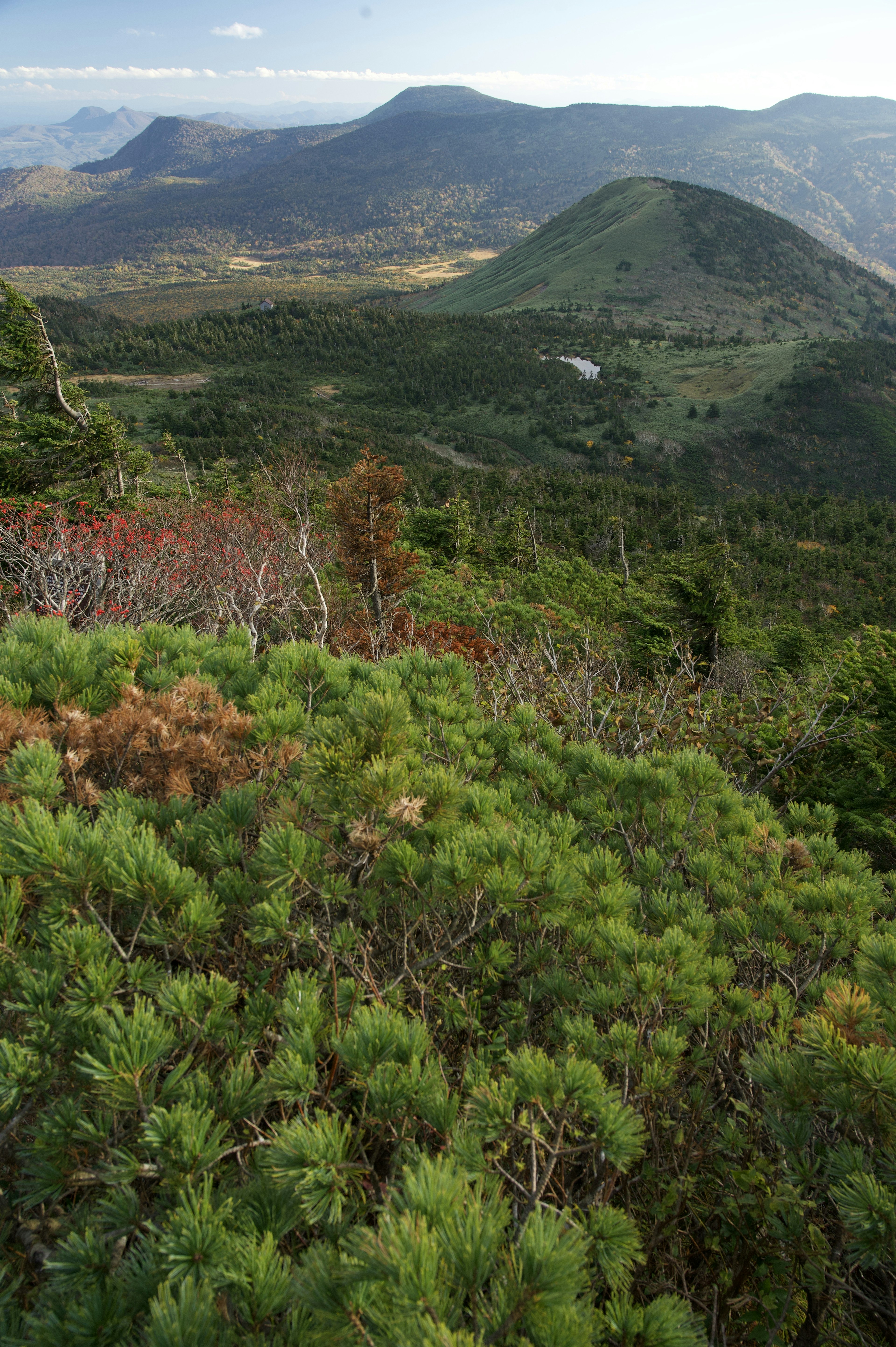 Vista de montañas y vegetación exuberante