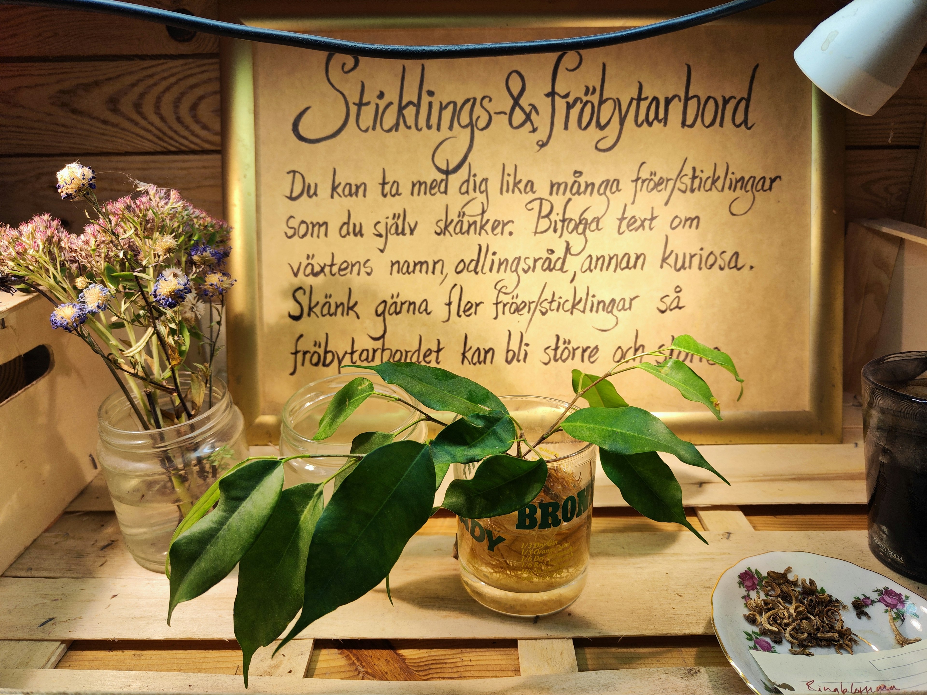 A handwritten message about plant propagation on a table with a vase and greenery