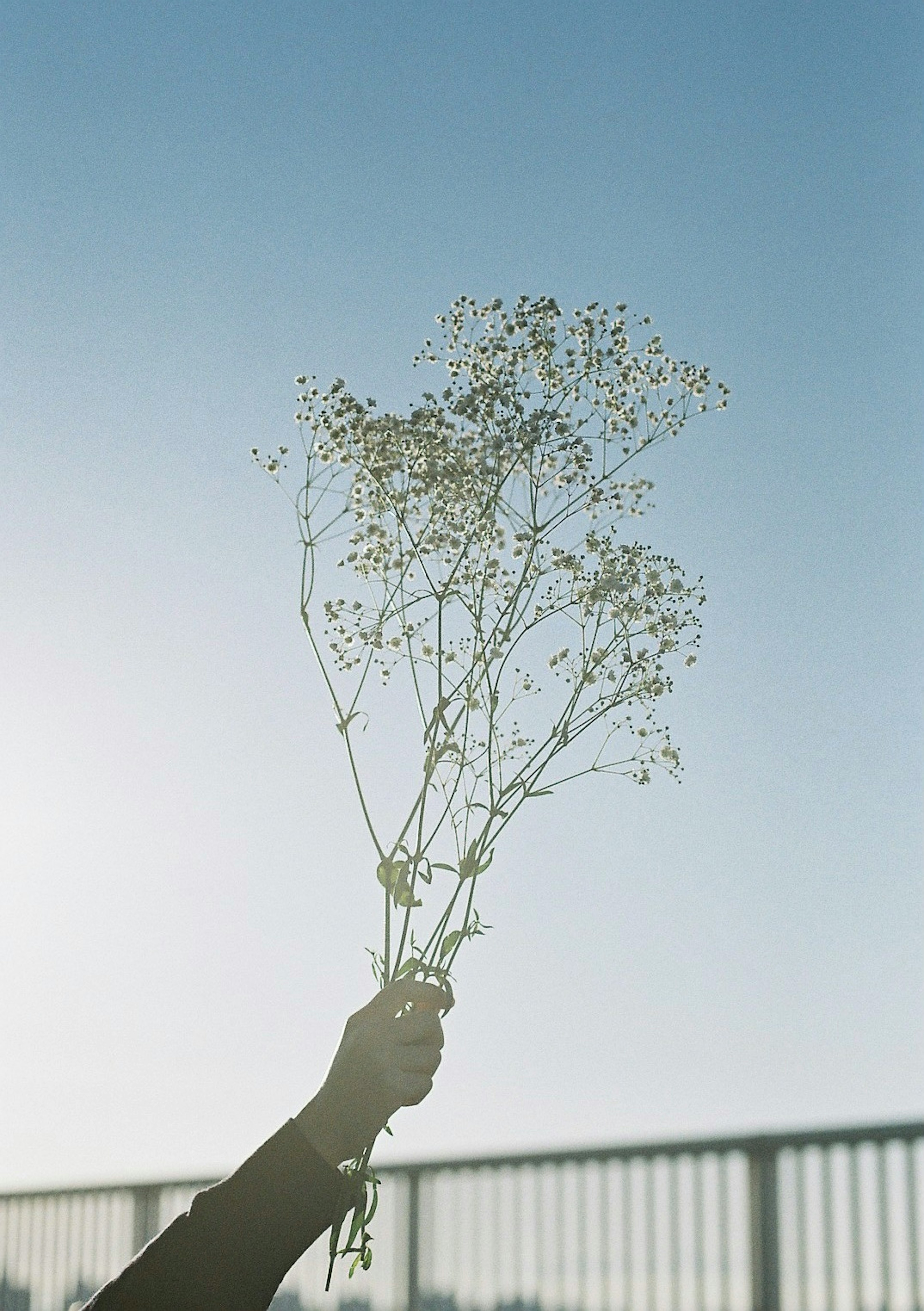 Una mano che tiene un mazzo di fiori contro un cielo blu