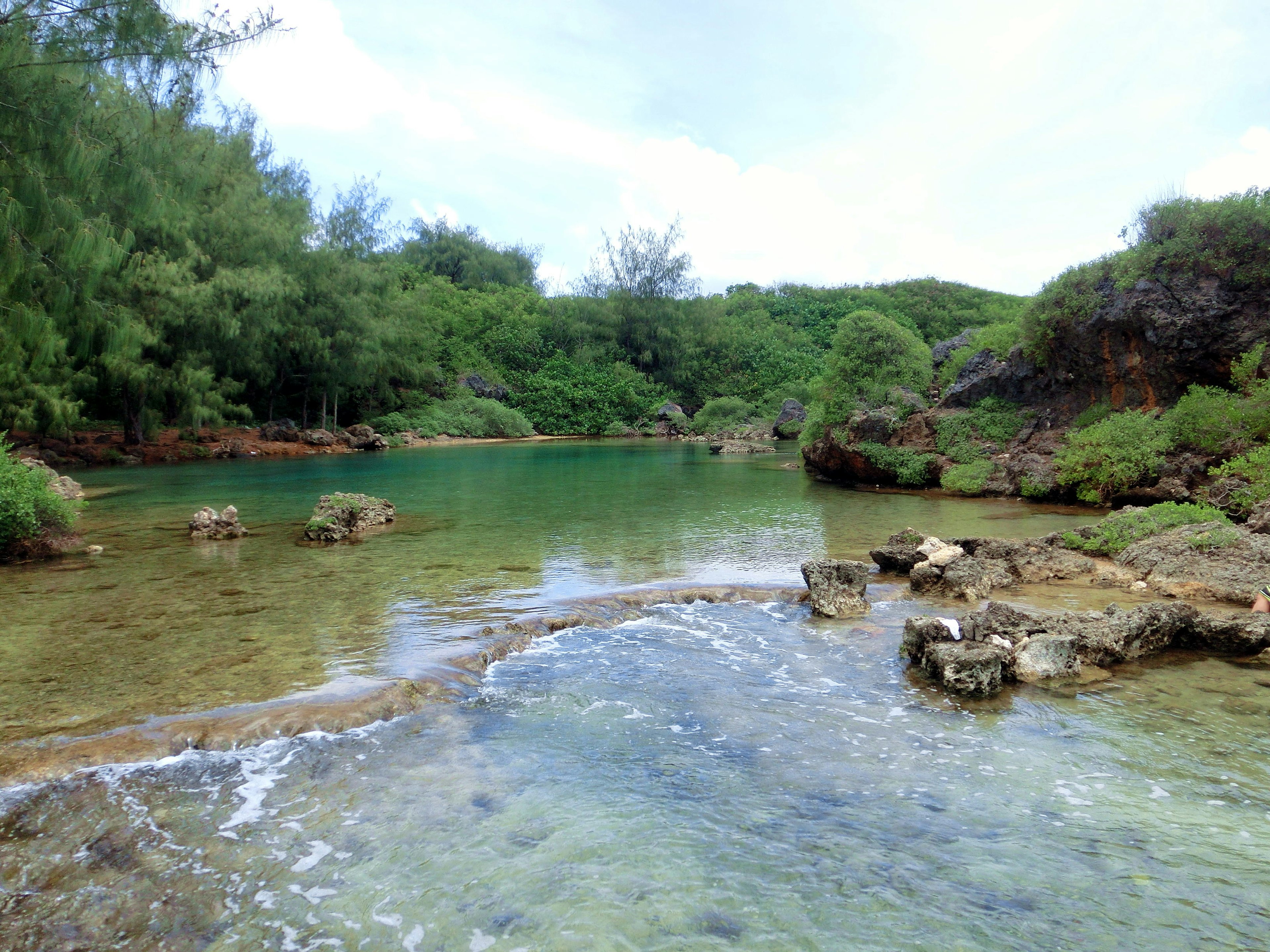 Paysage aquatique serein entouré de verdure luxuriante