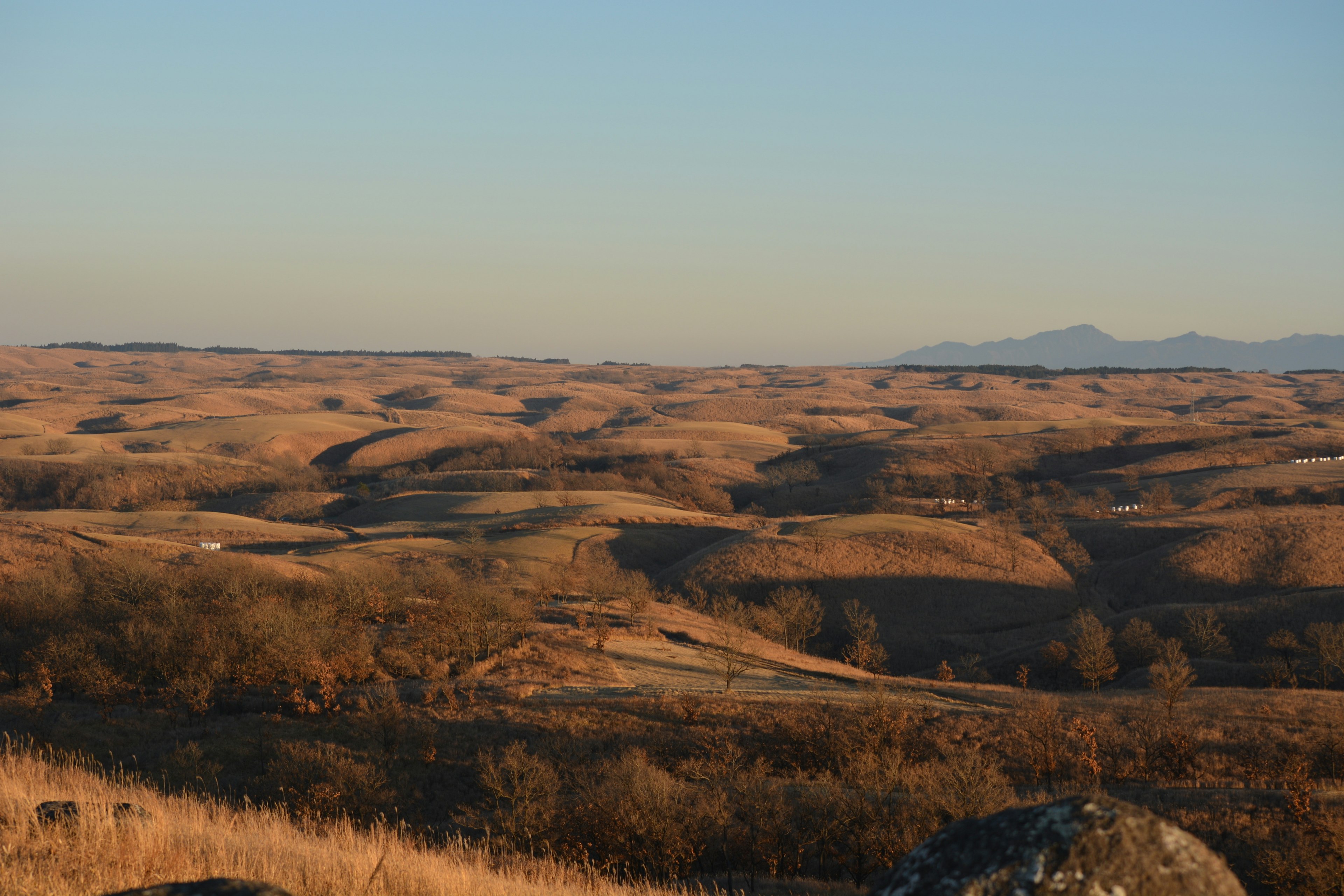 Paesaggio di colline ondulate con luce morbida serale