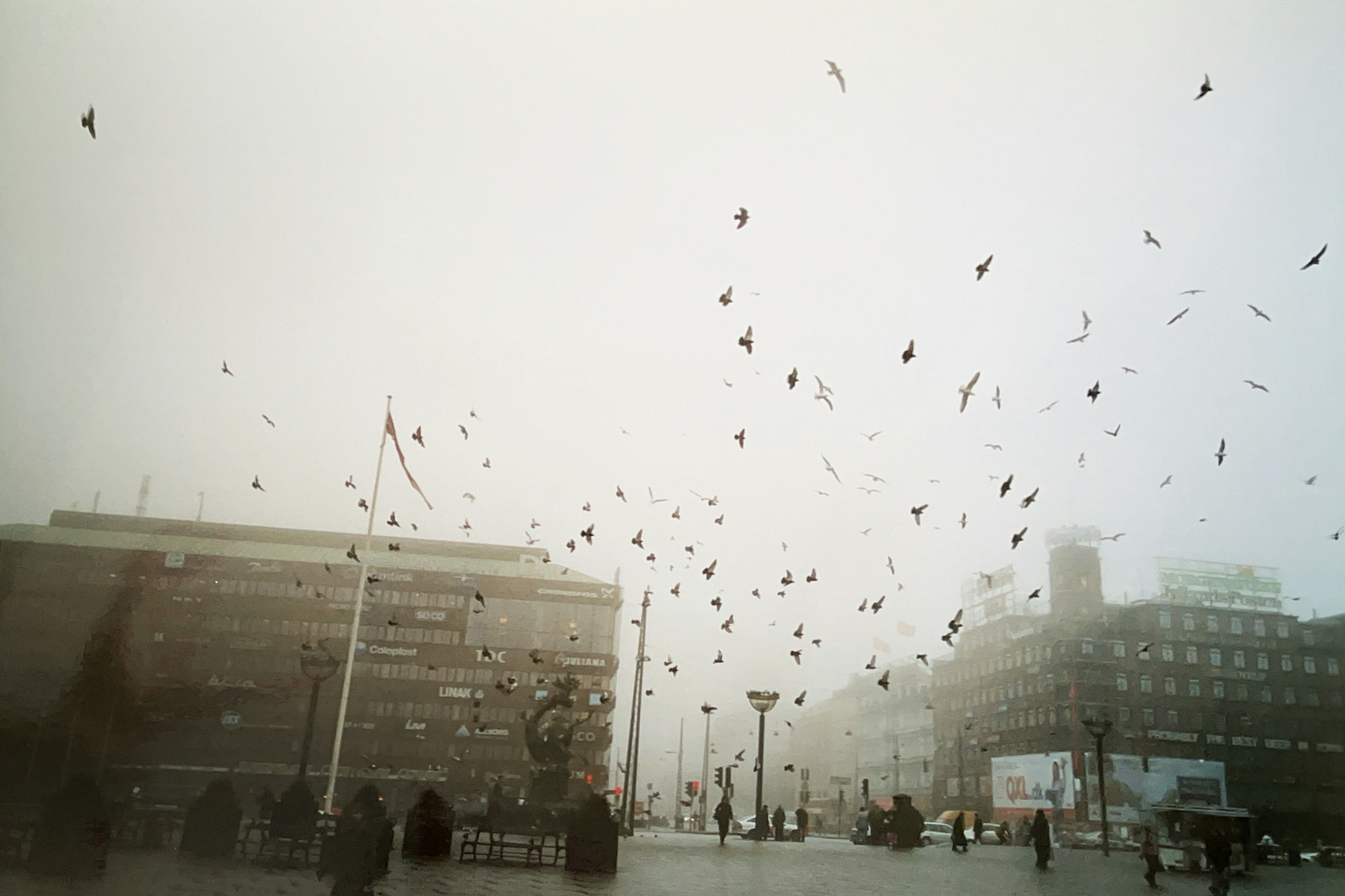 Des oiseaux volant dans une place brumeuse avec des gens marchant