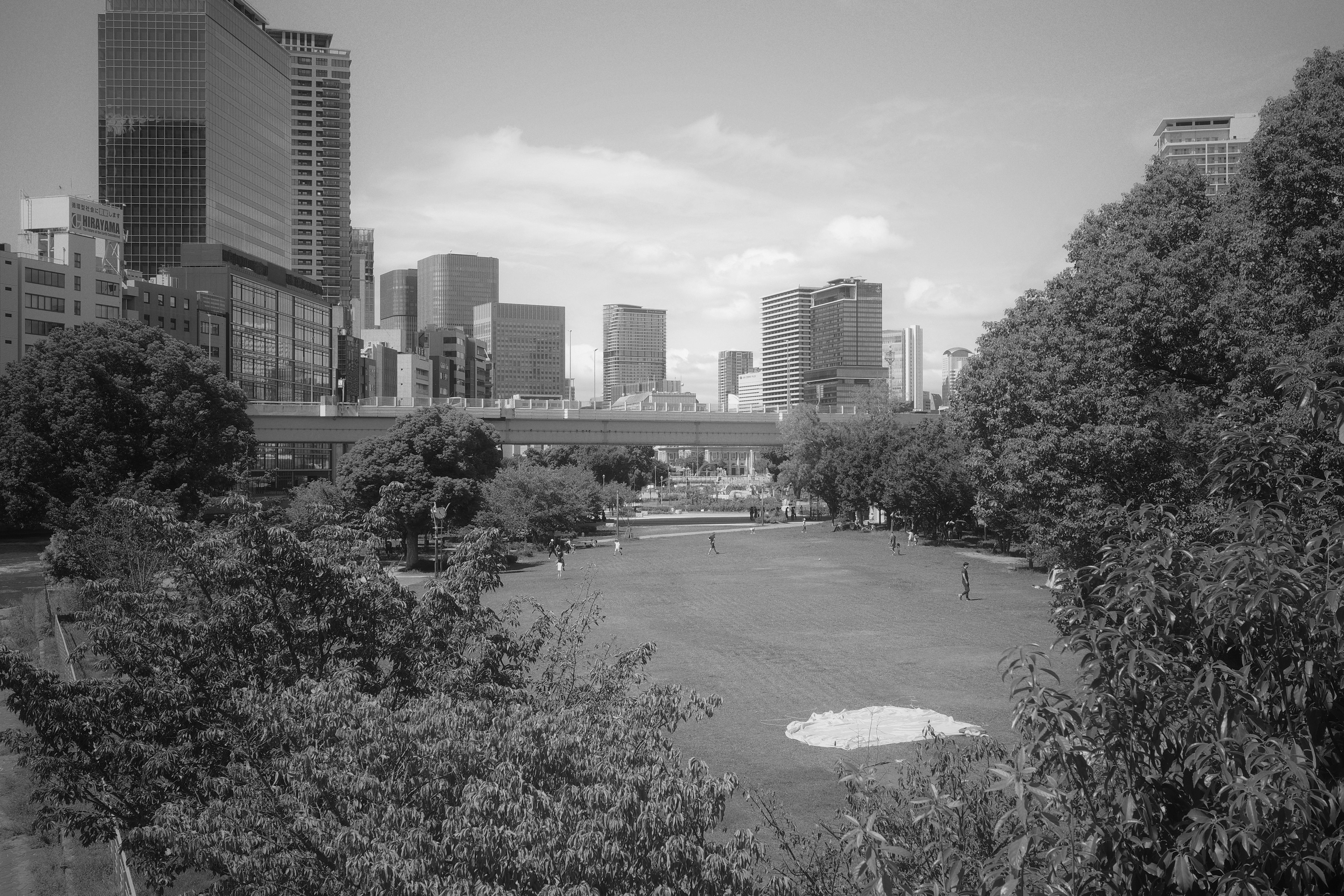 Black and white cityscape featuring skyscrapers and lush greenery along a calm water body under a clear sky