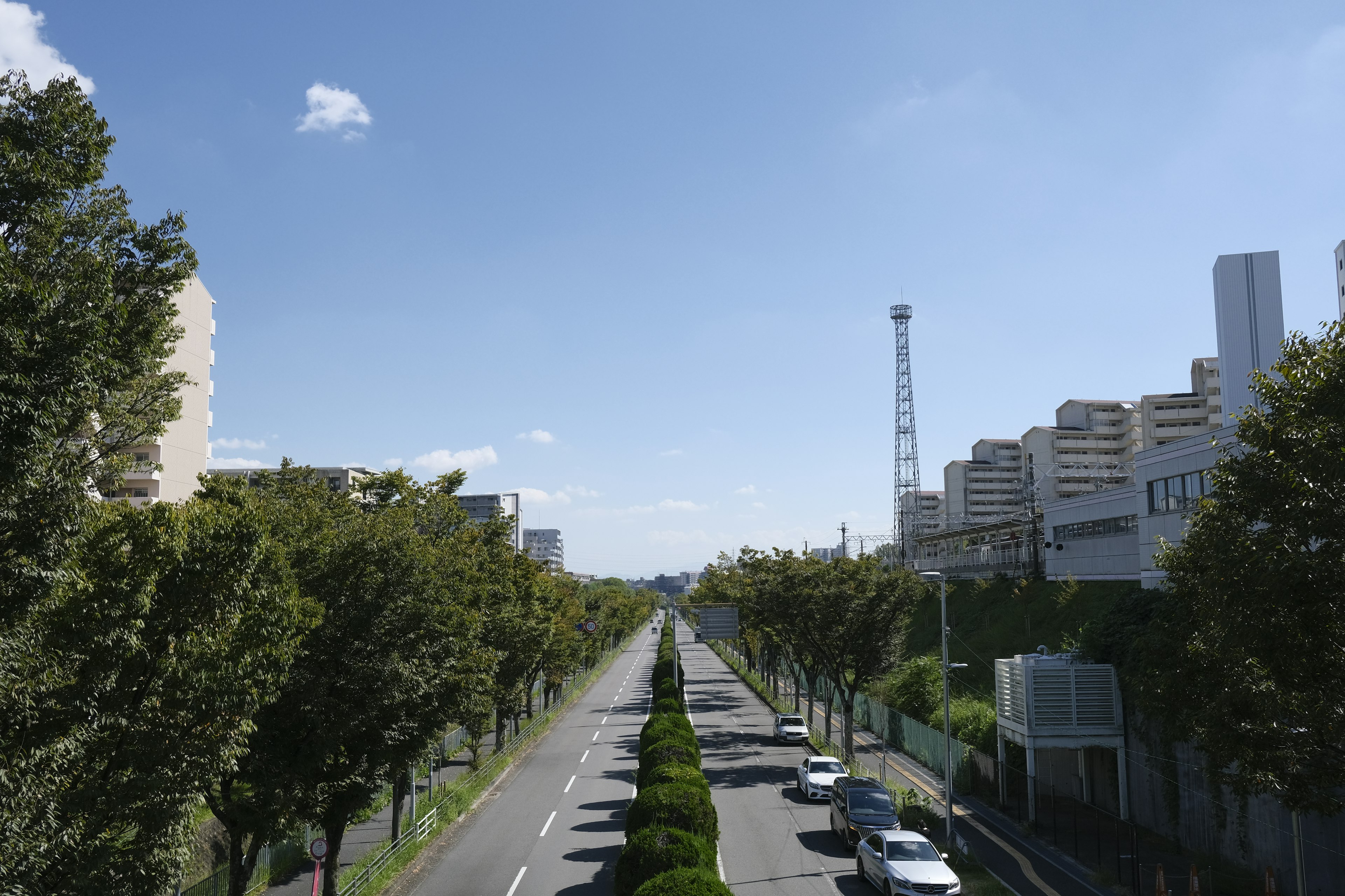 Una vista de una calle arbolada bajo un cielo azul con edificios de la ciudad