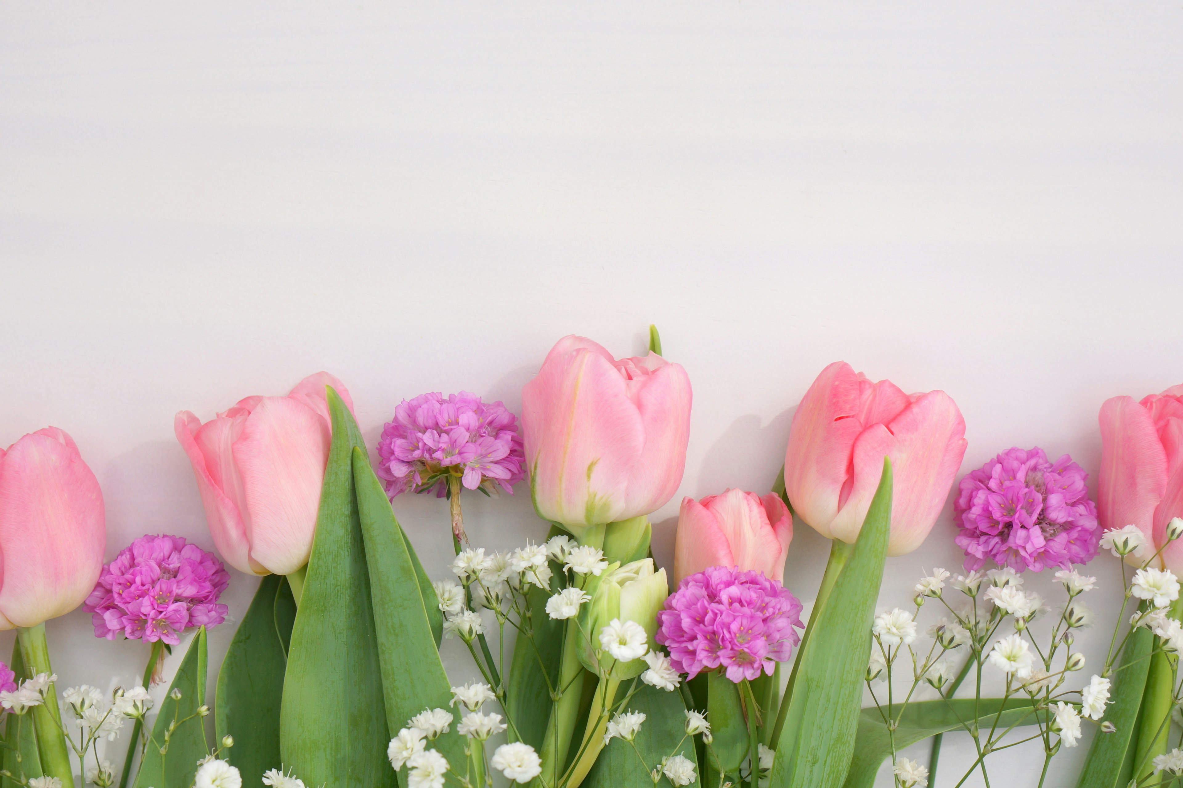 Anordnung von sanften rosa Tulpen und kleinen Blumen