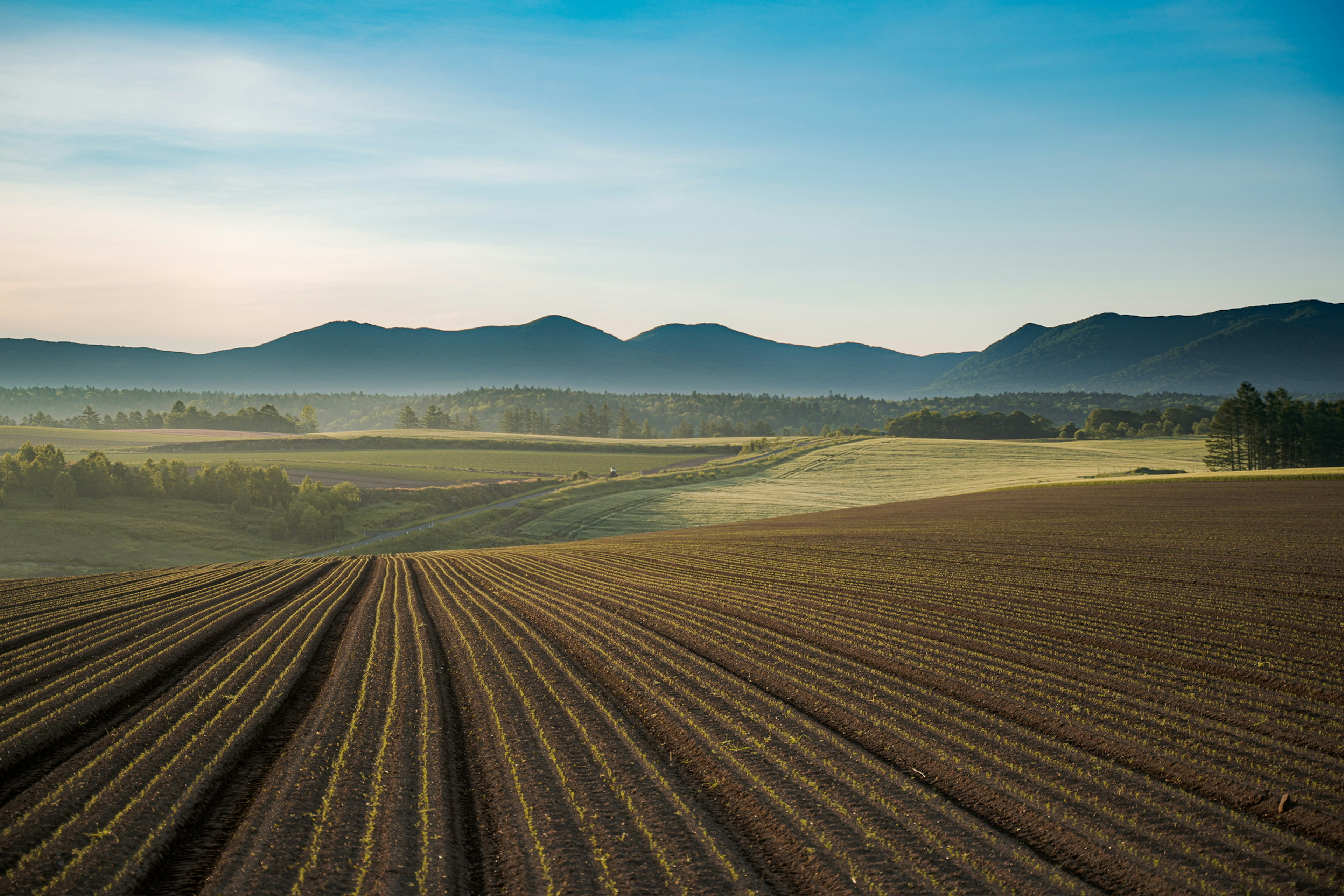 Bellissimo paesaggio di terreni agricoli con silhouette di montagne in lontananza