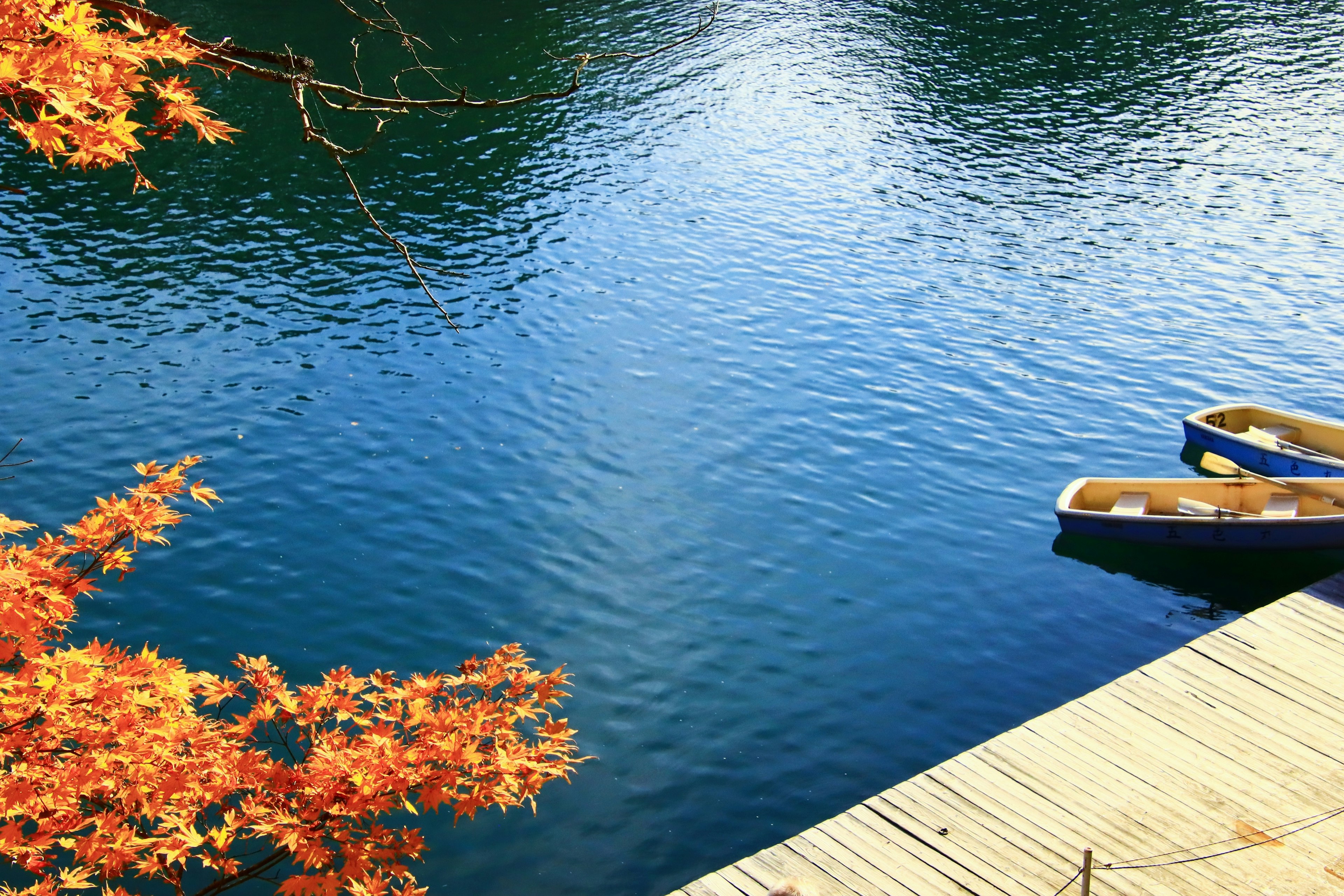 Two small boats on a calm water surface with autumn foliage