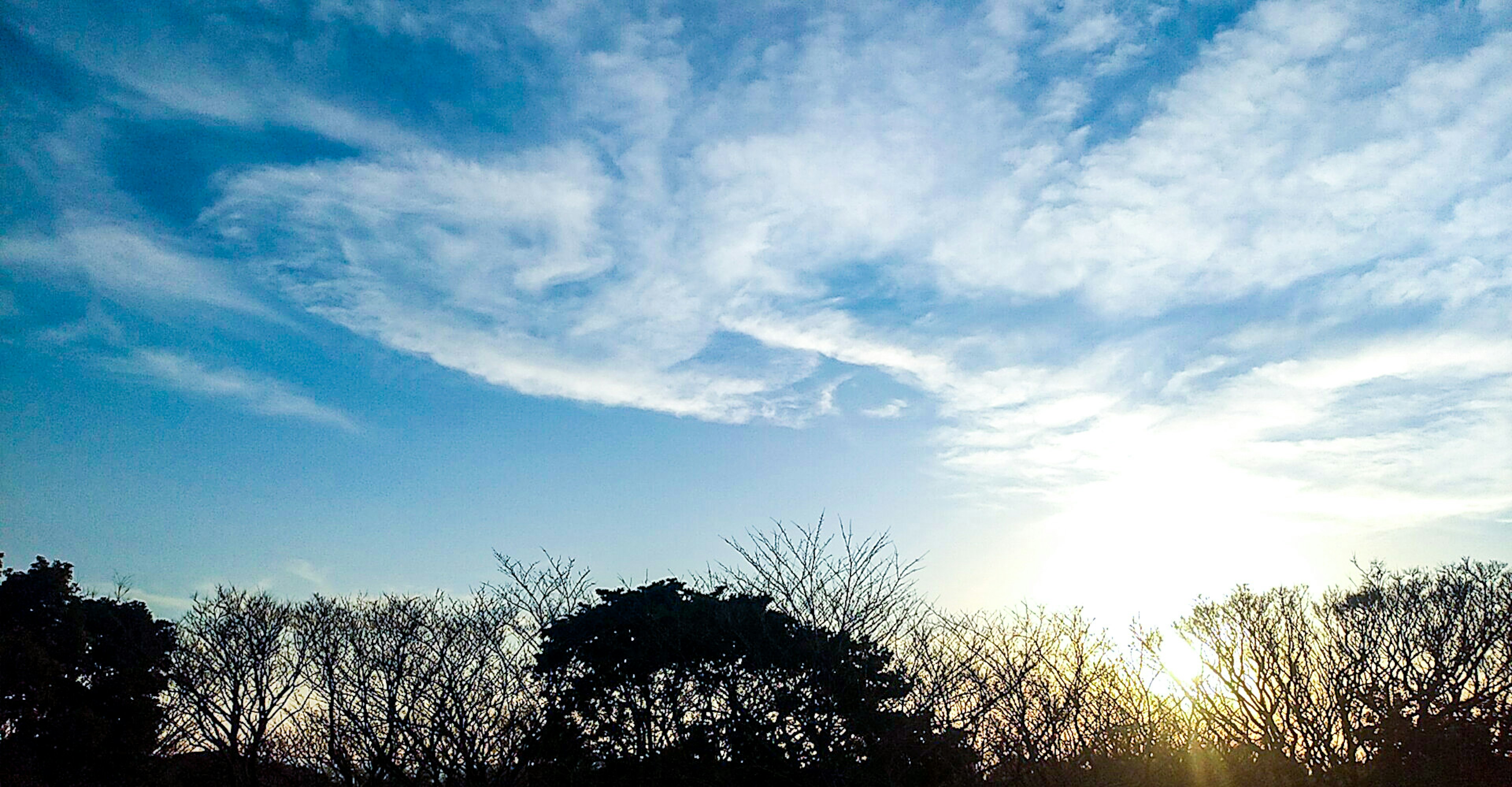 Landschaft mit blauem Himmel, Wolken und silhouettierten Bäumen