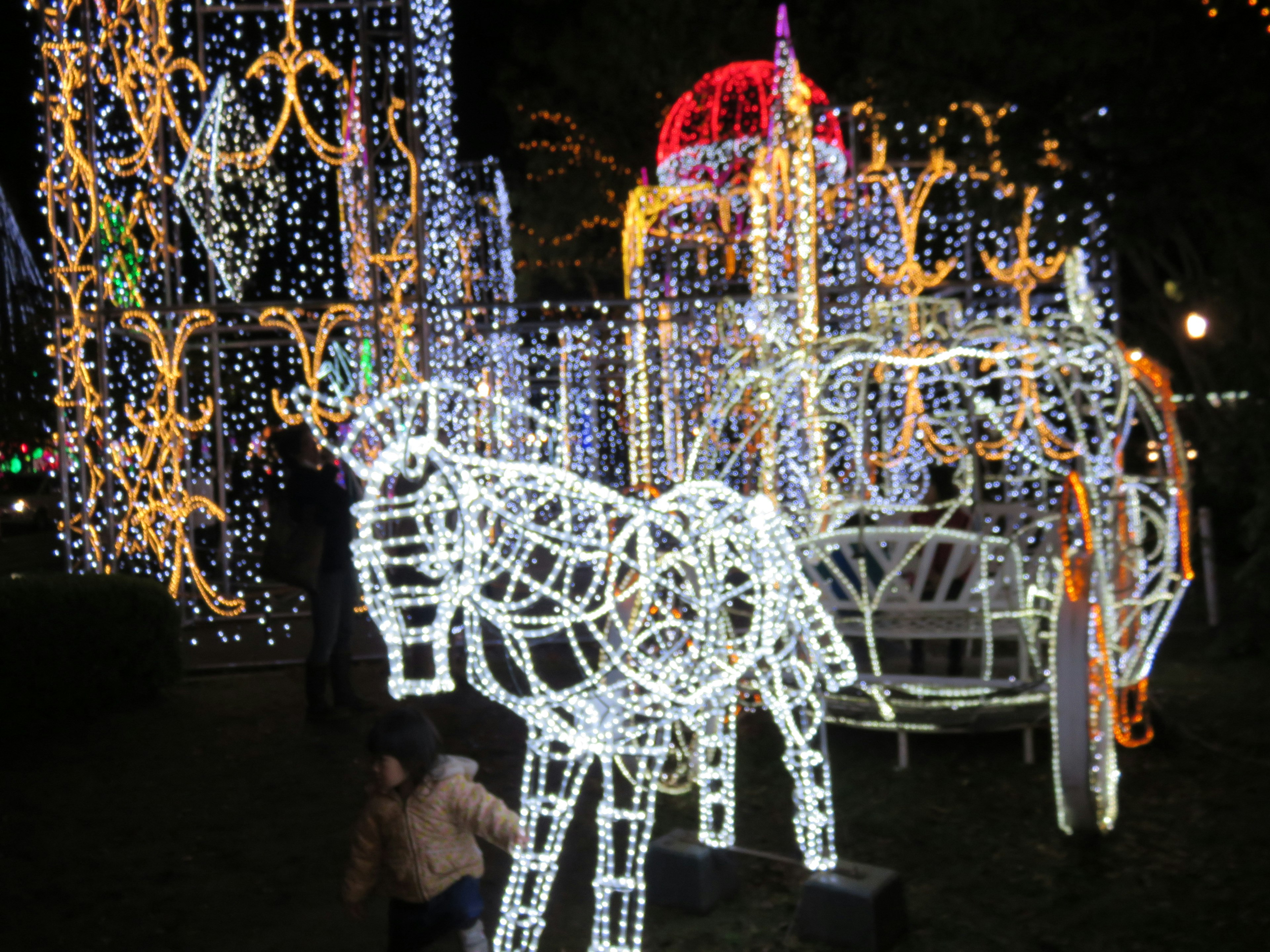 Caballo y carruaje iluminados decorados con luces por la noche