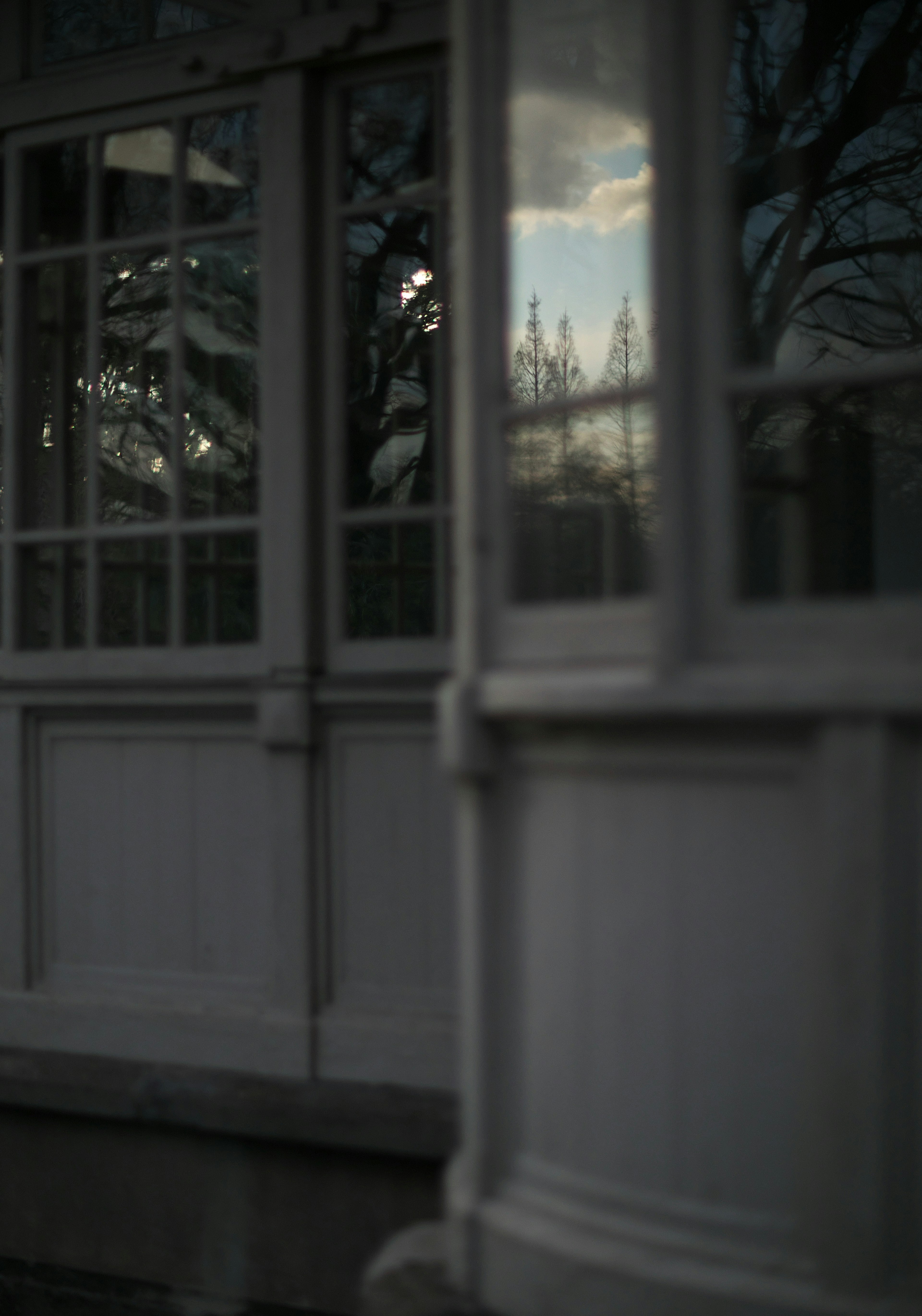 Reflejo del cielo y los árboles en una ventana