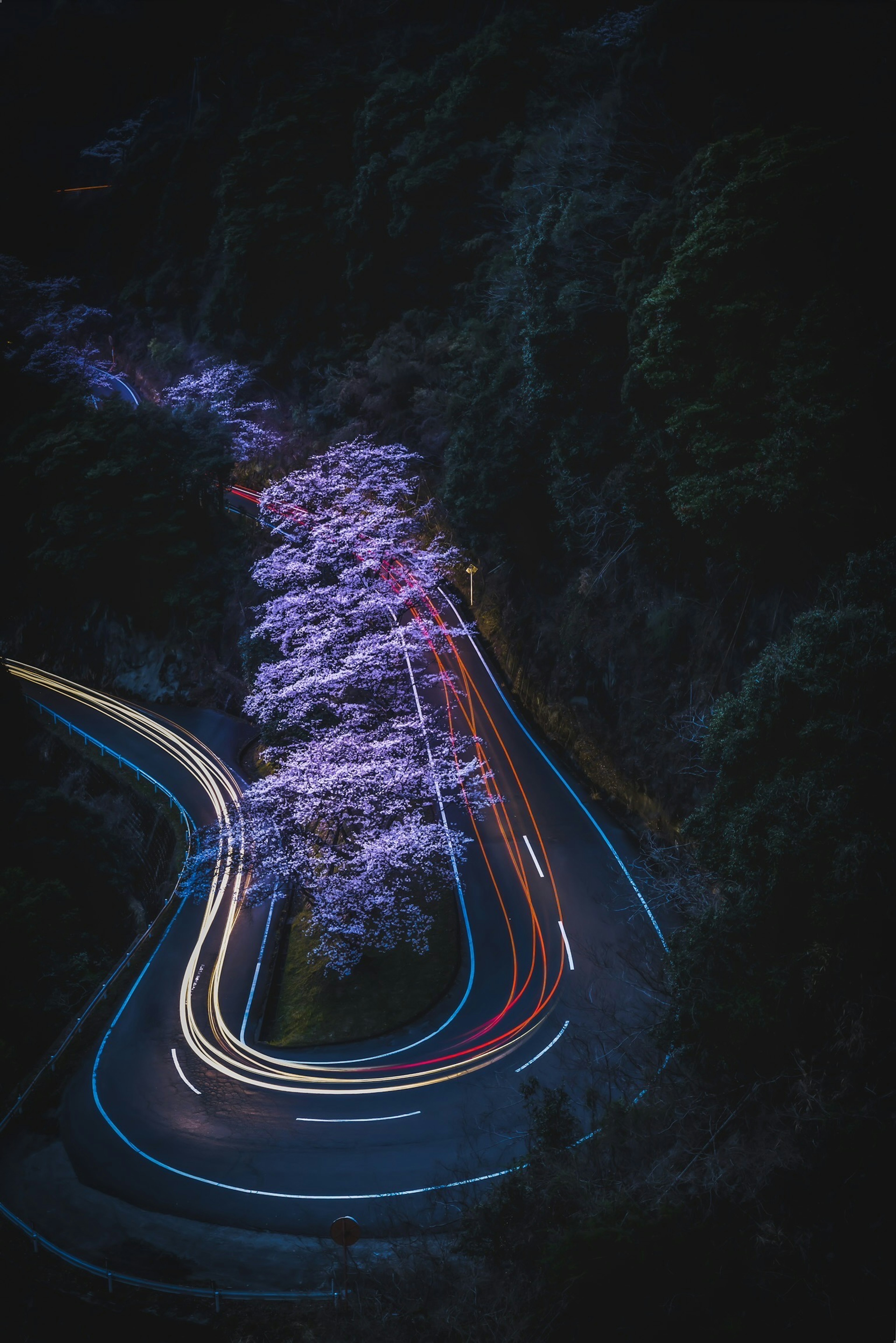 Carretera curva de noche con luces de coche y árboles