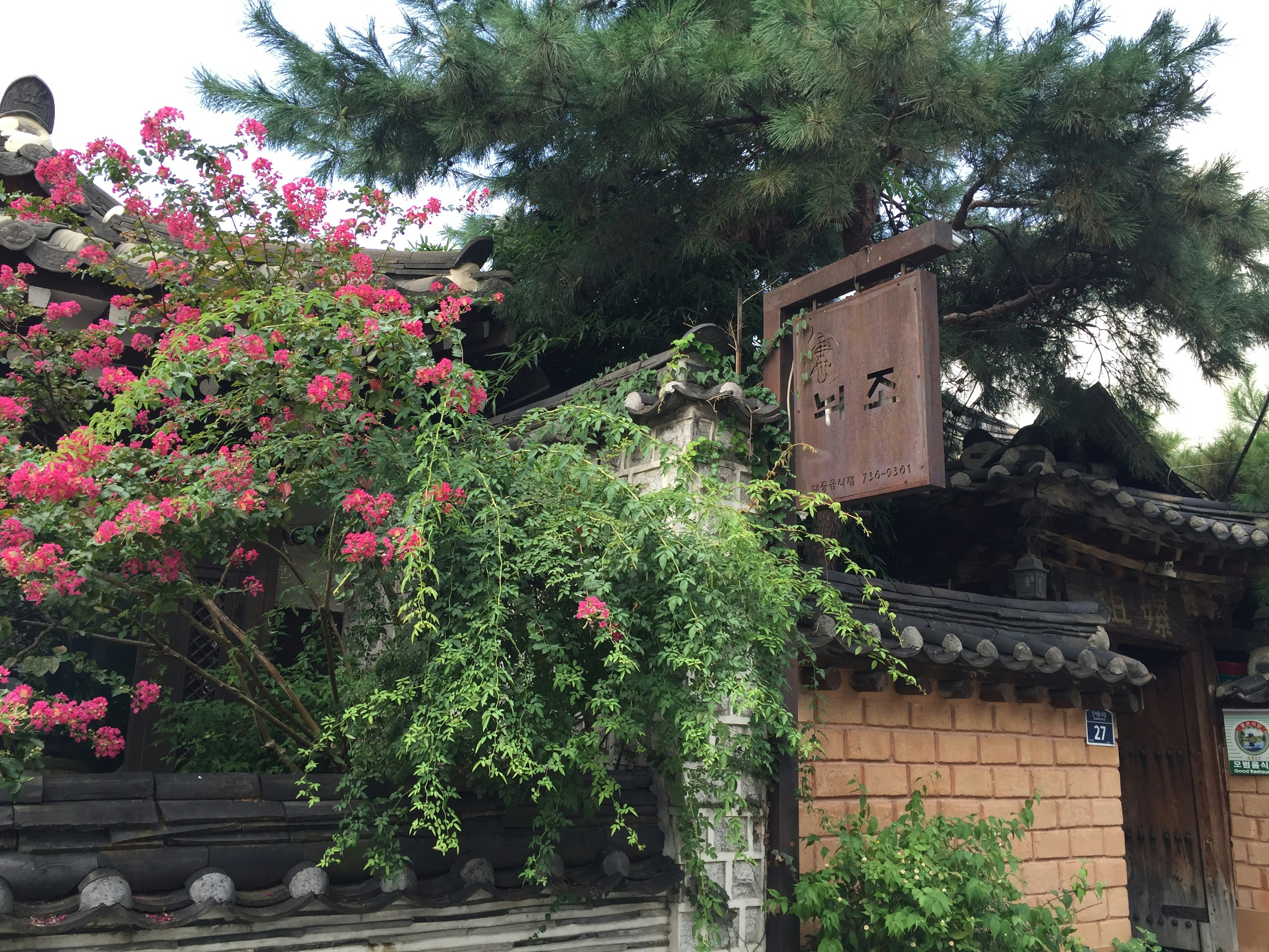 Maison traditionnelle coréenne avec des fleurs roses en fleurs et une végétation luxuriante