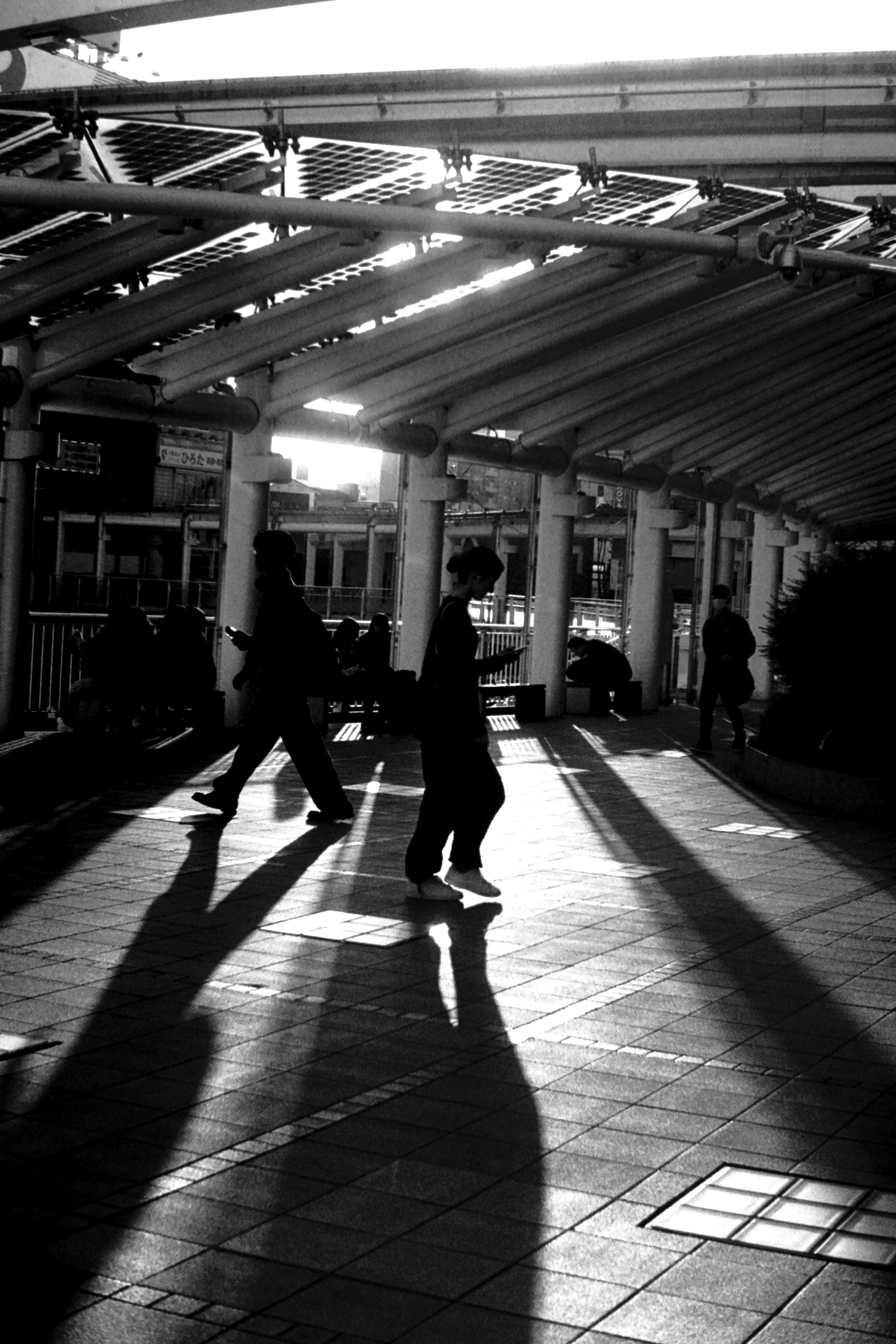 Silhouettes of people walking with long shadows in an urban setting