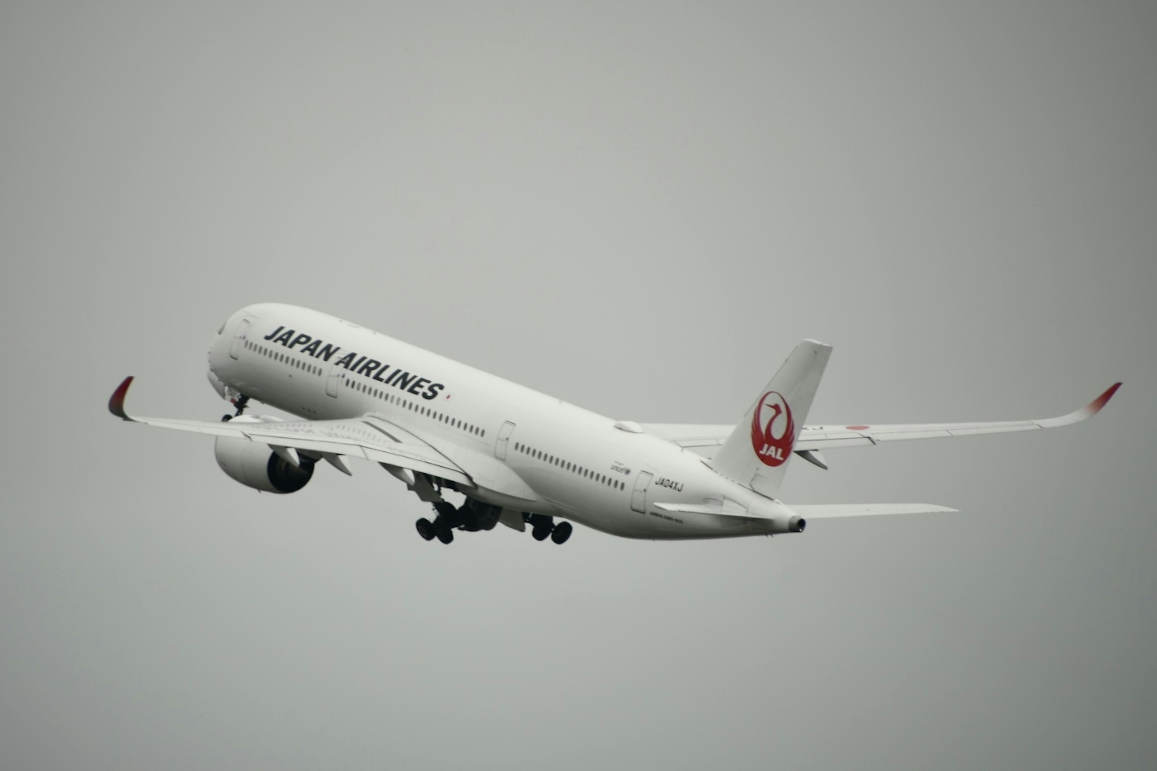 Japan Airlines airplane taking off against a gray sky