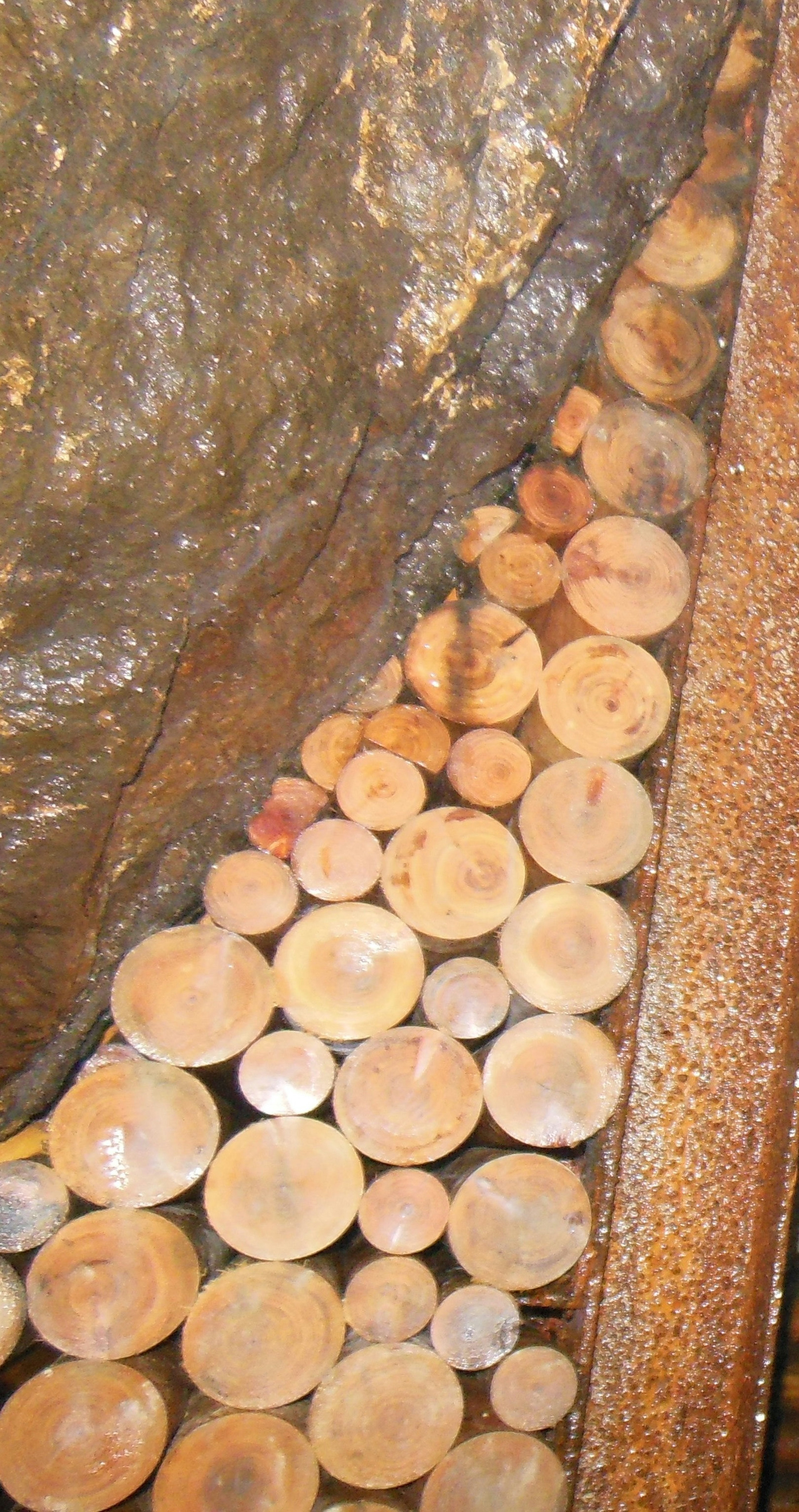 Image showing stacked wooden logs with circular cross-sections