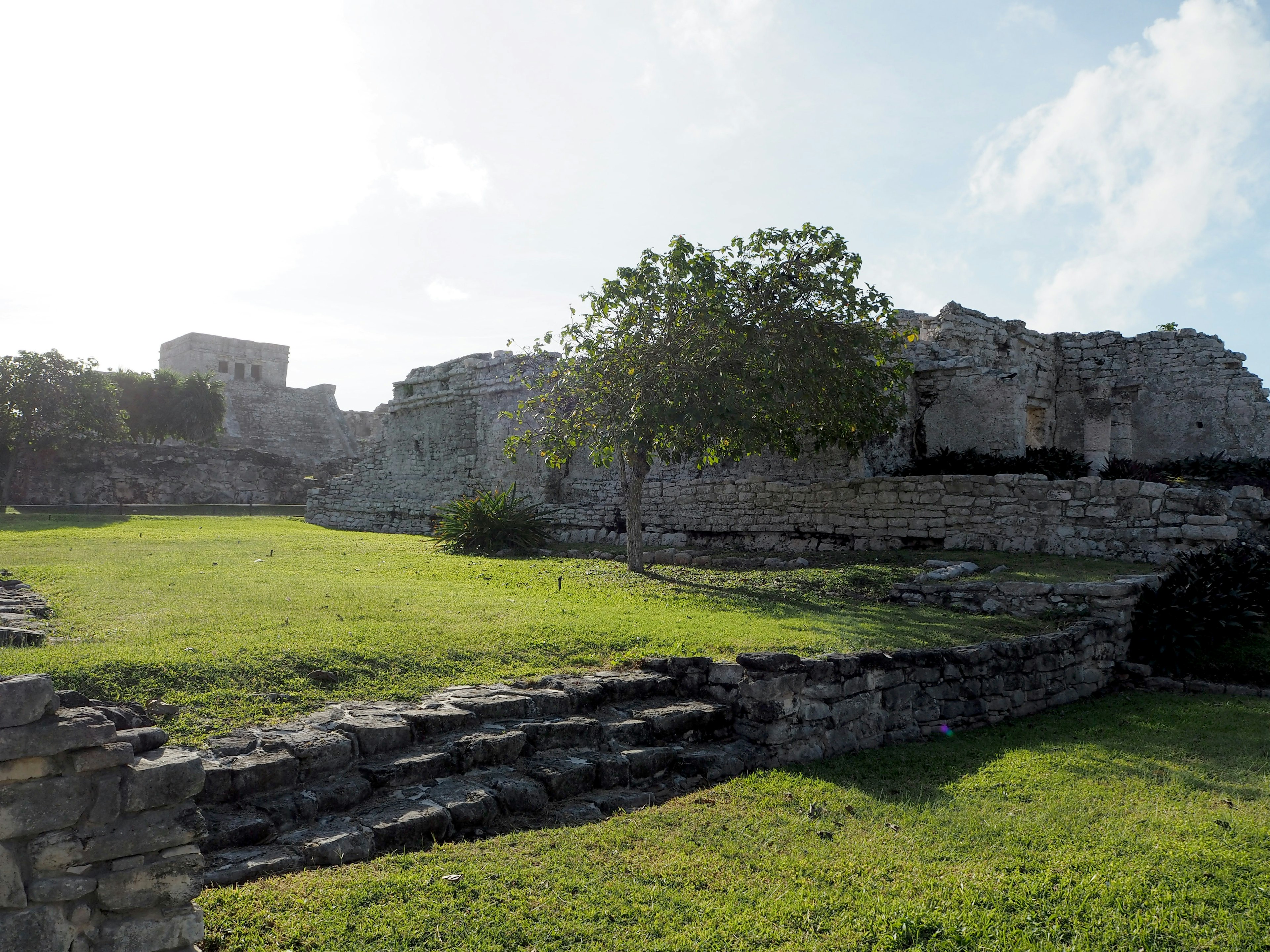 Landscape of ancient ruins surrounded by green grass showing broken stone walls and a tree