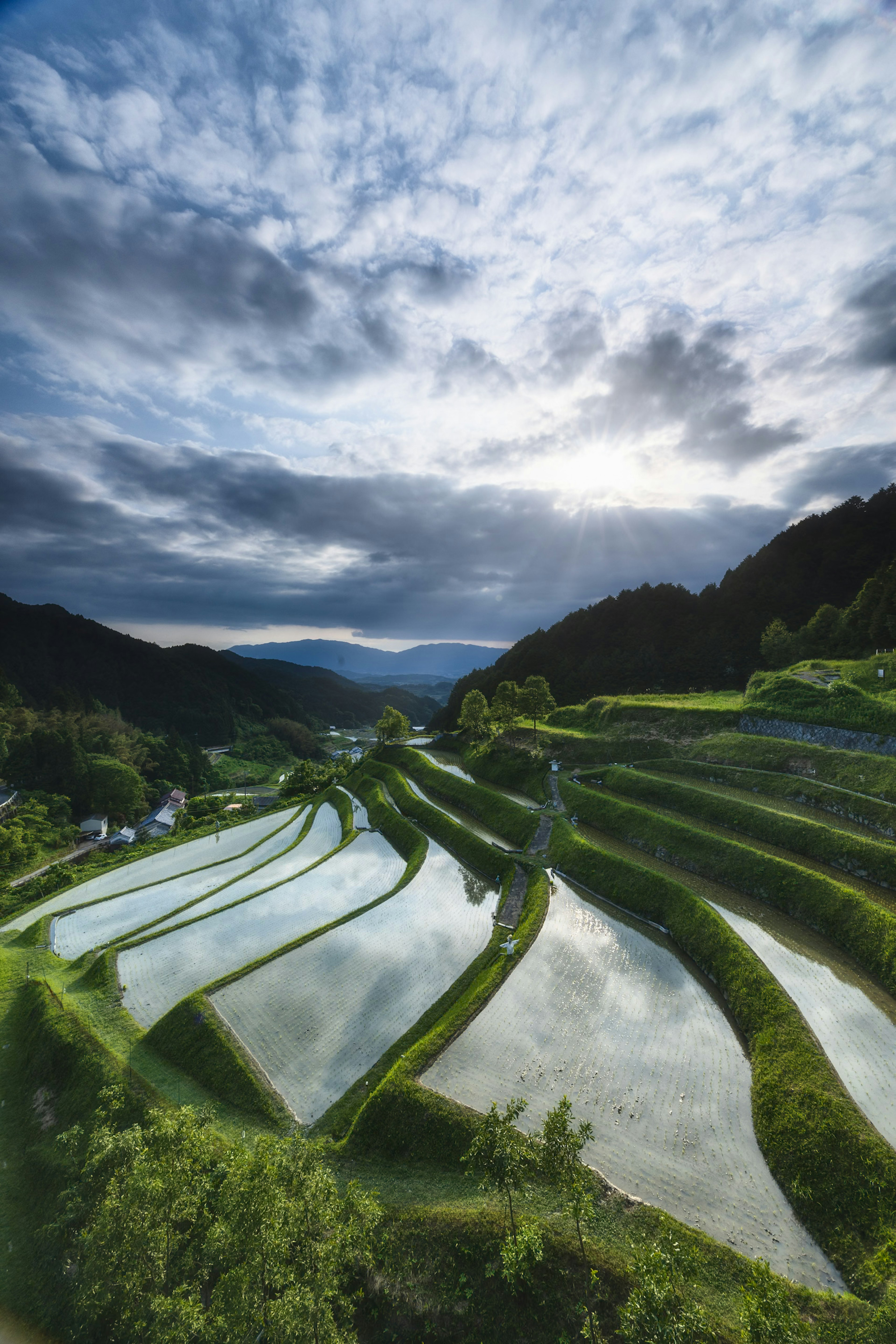 Beautiful terraced rice fields under a cloudy sky