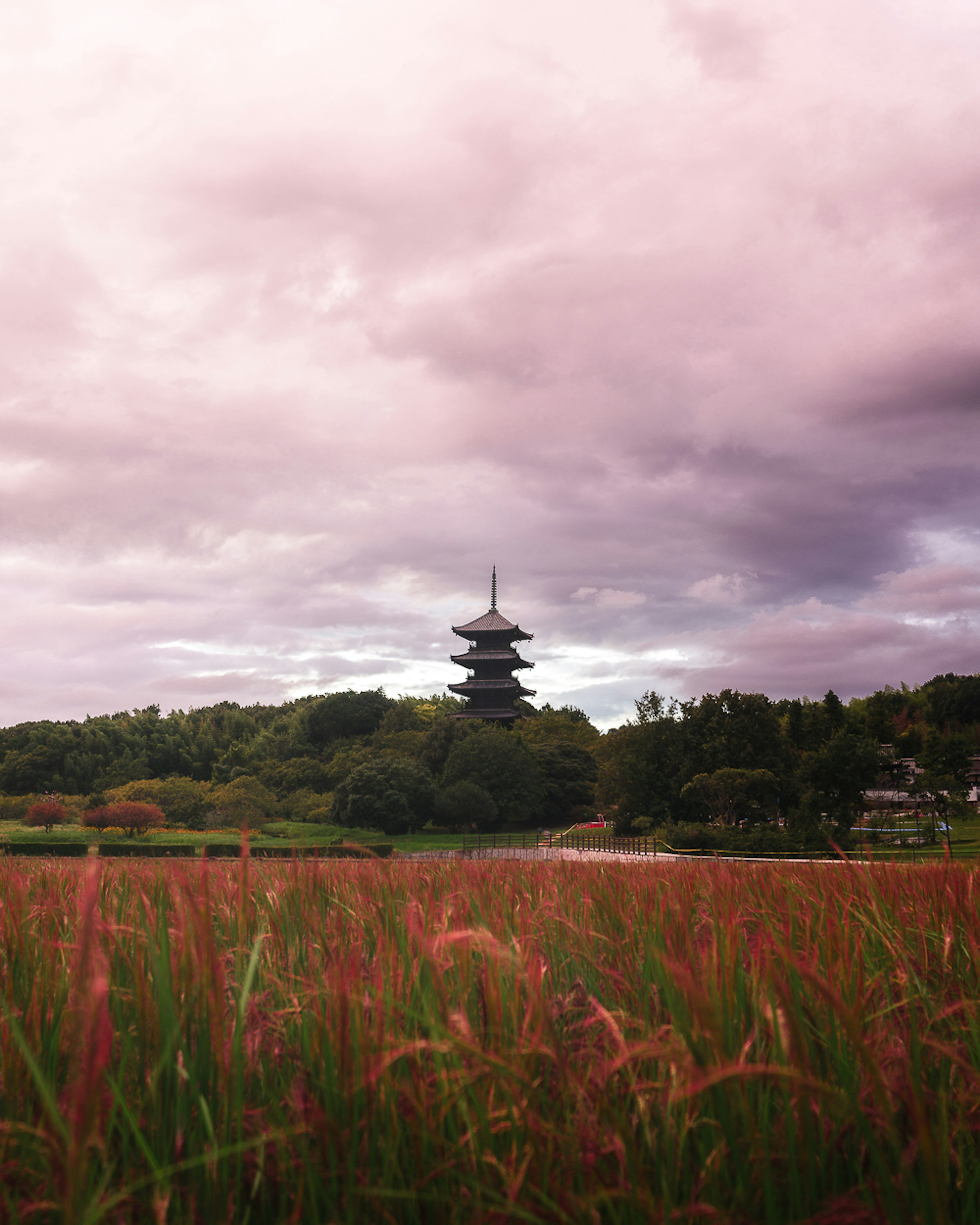 Five-story pagoda standing amidst swaying rice fields under a cloudy sky