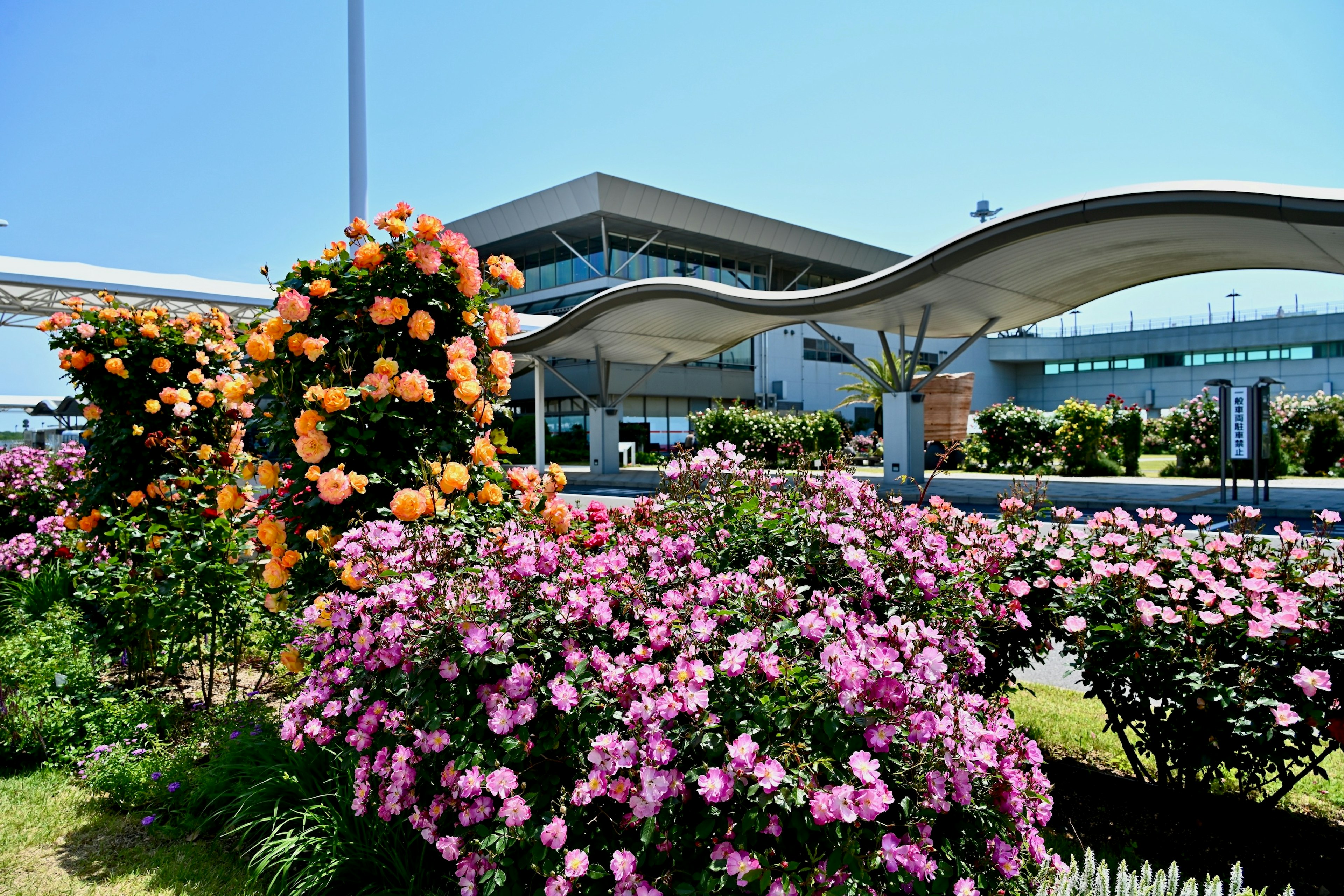 空港の入り口に咲く色とりどりの花々と現代的な建物