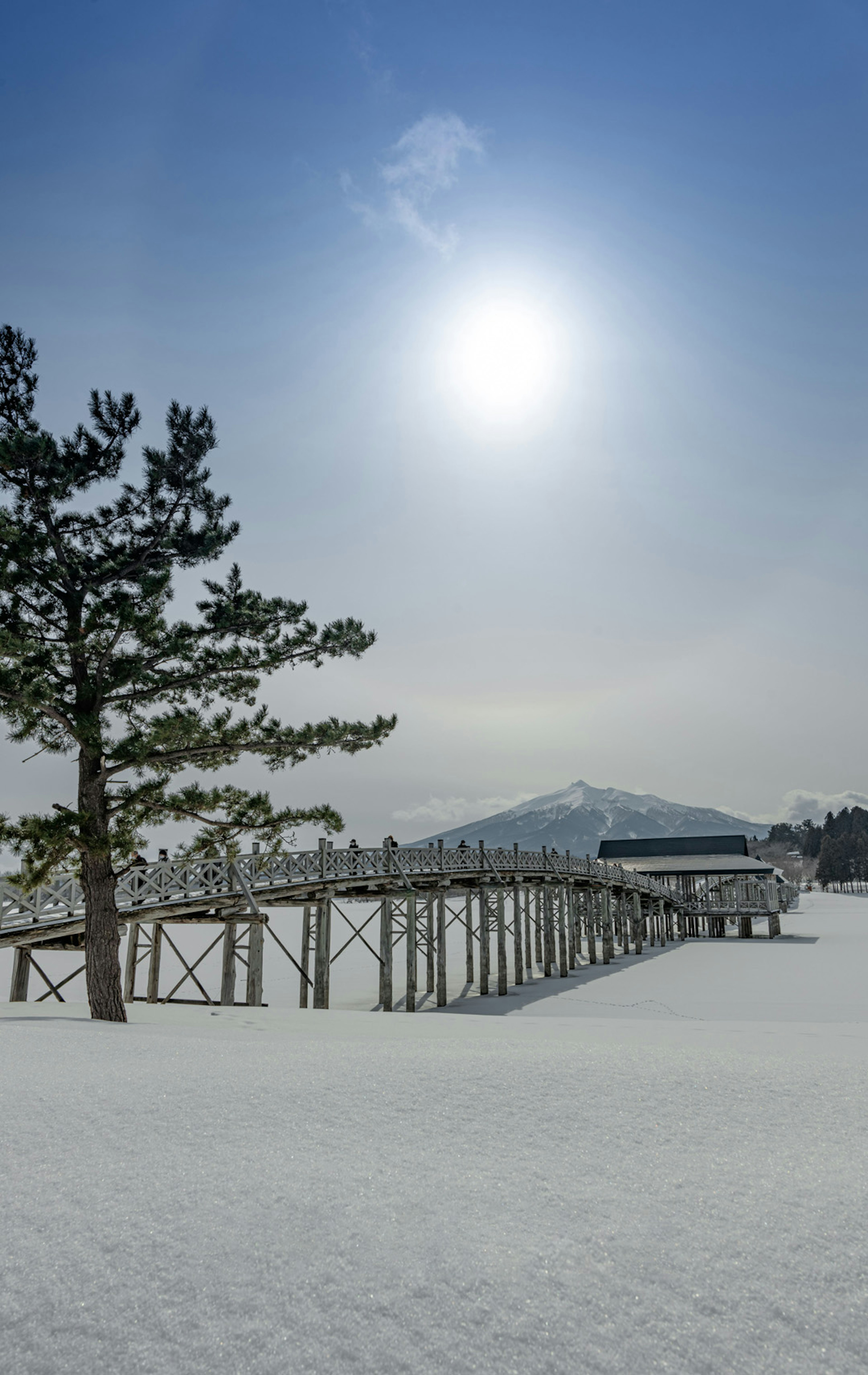 Snow-covered pier with trees under a clear sky and sun