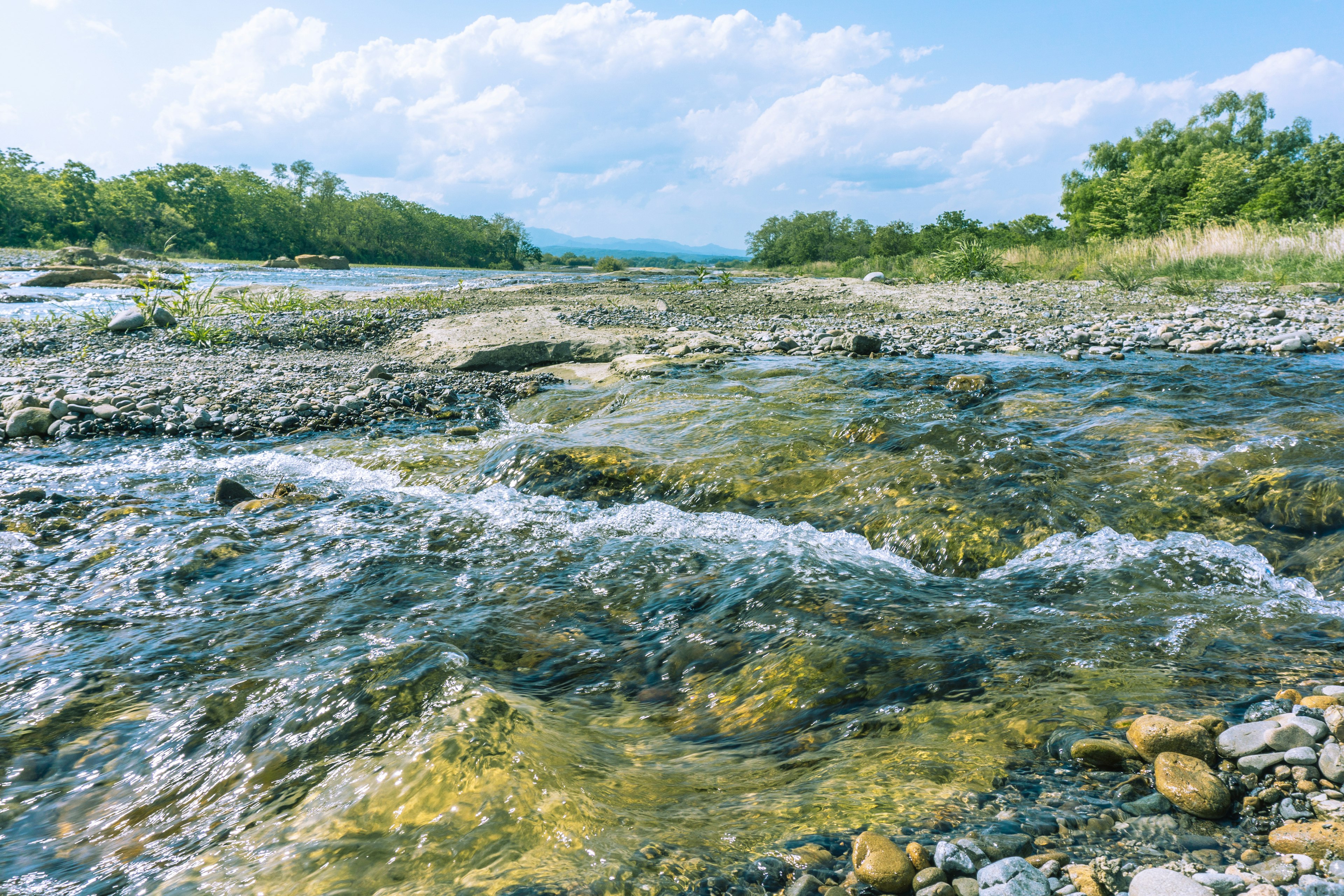 Klarer Flusslauf mit steiniger Küste und üppigem Grün