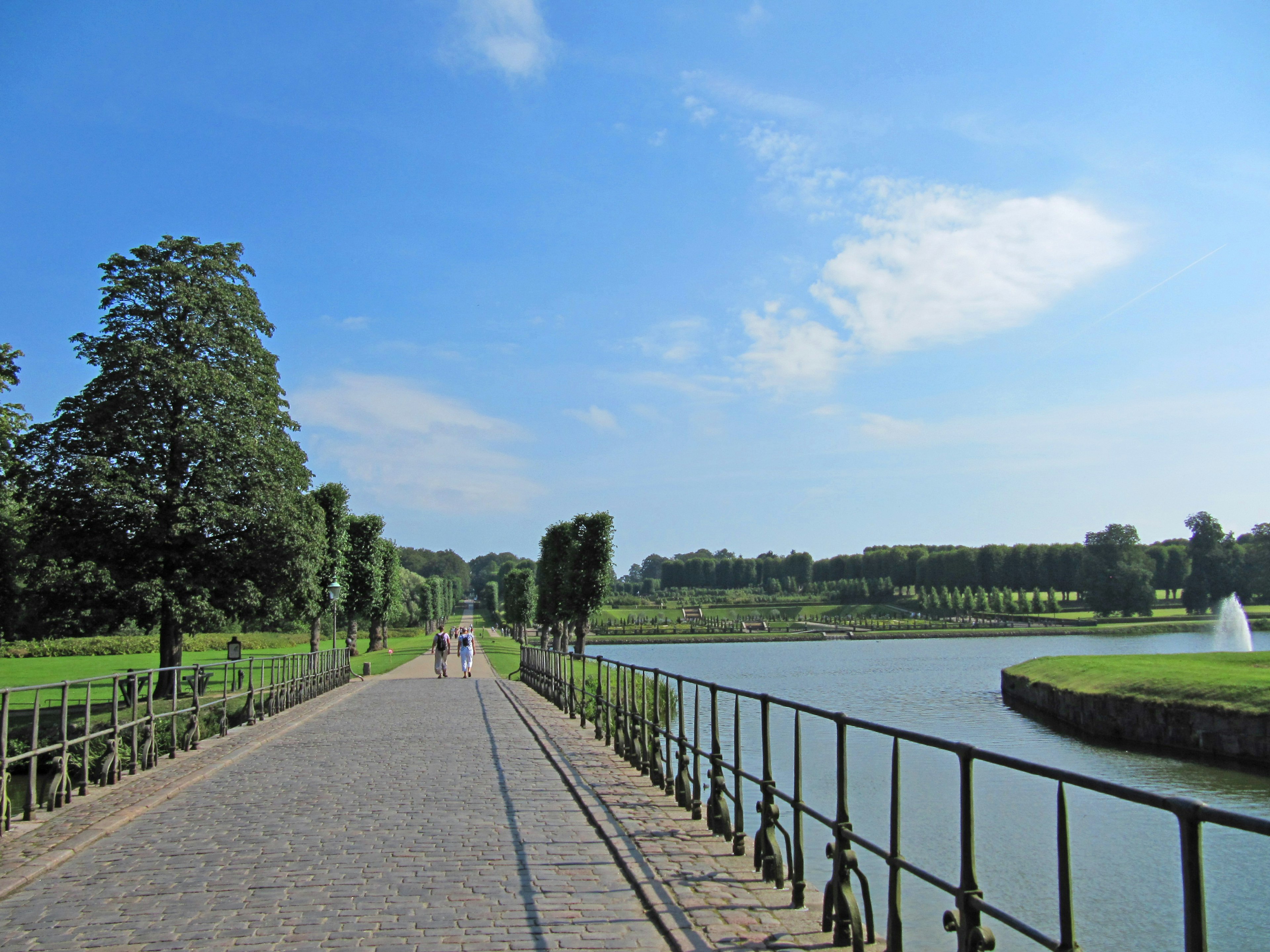 静かな公園の小道と水辺の風景で青空と緑の木々が広がる