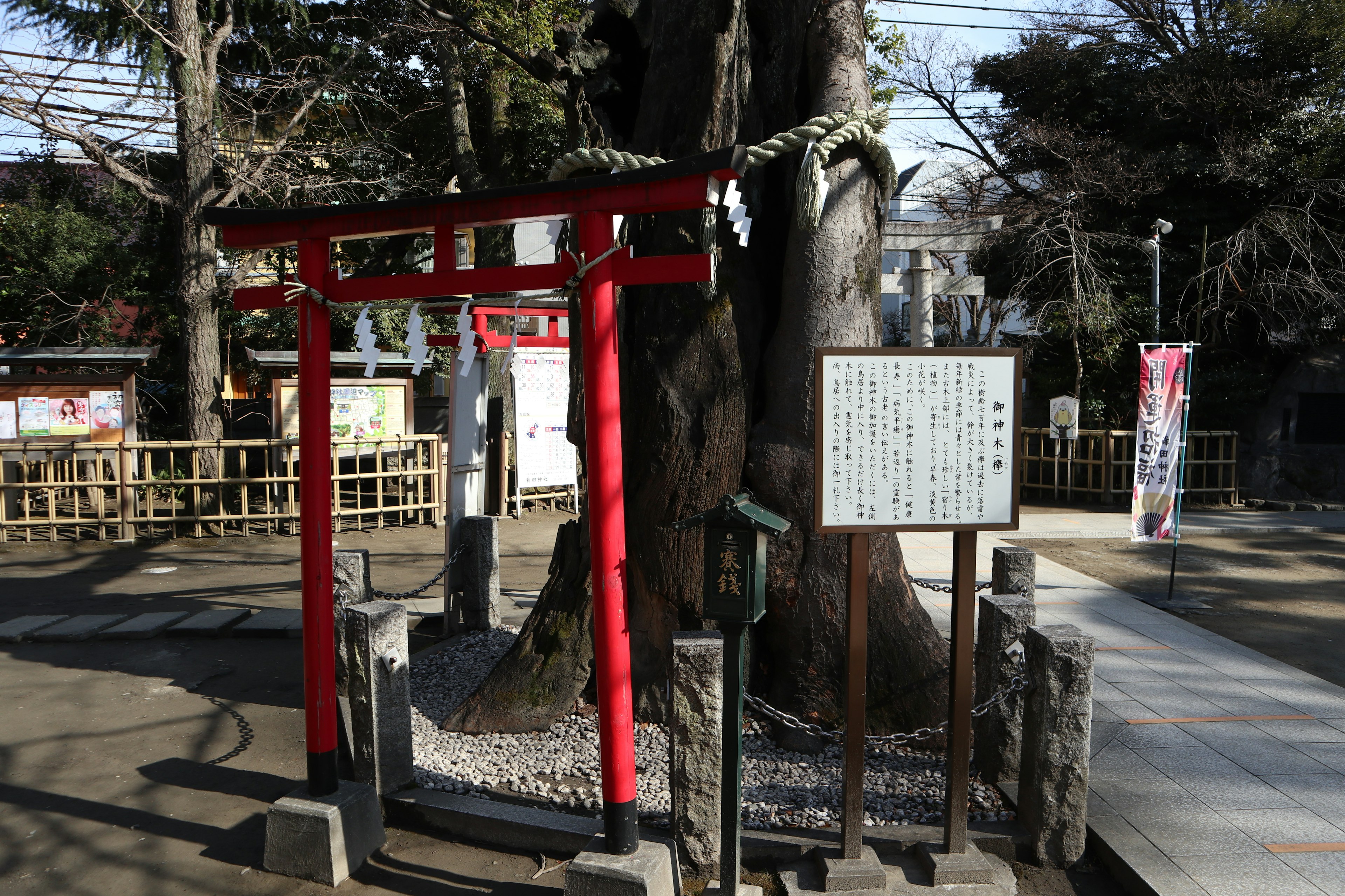 Vista de un santuario con un torii rojo y un gran árbol