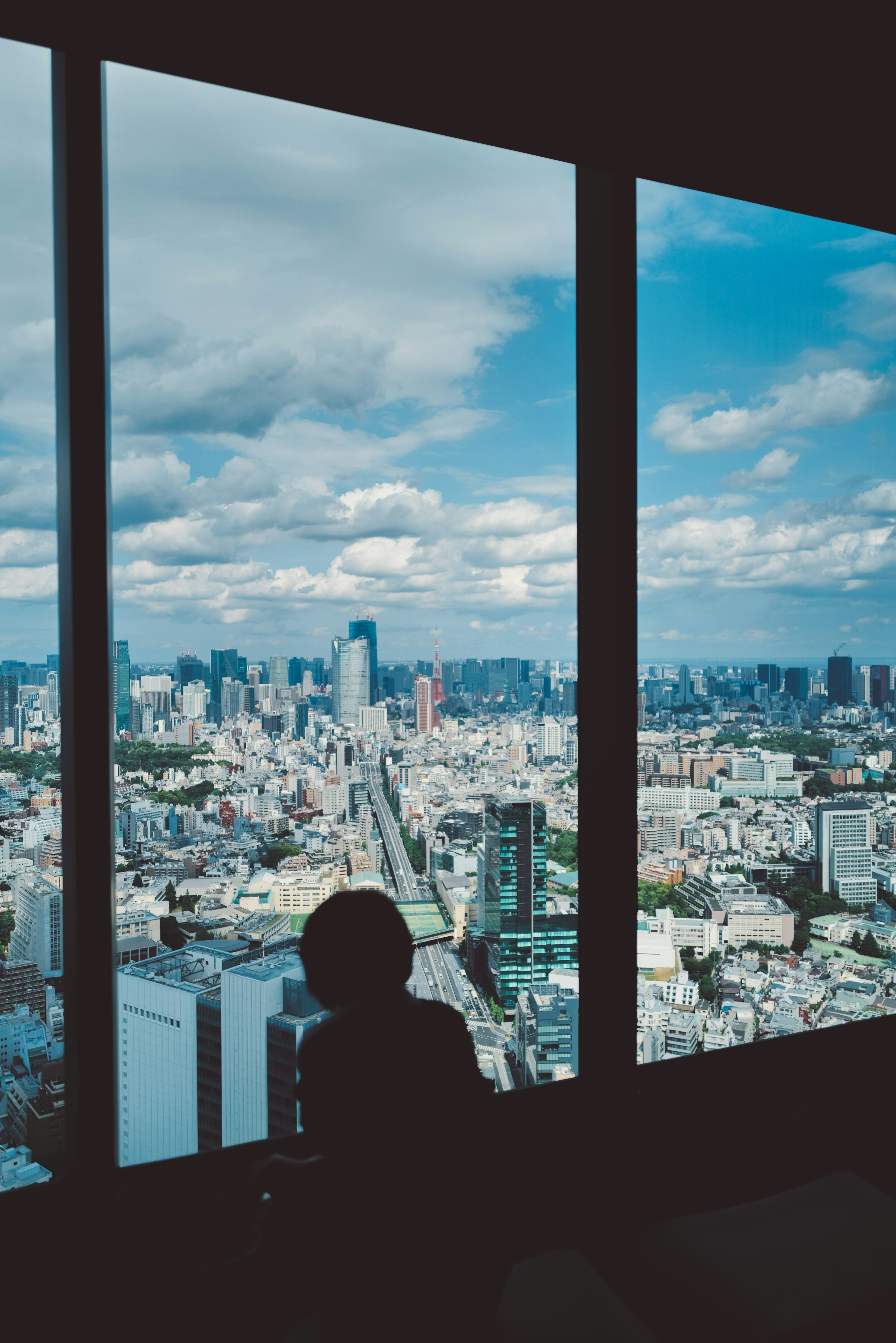 Vue de la ville depuis une fenêtre d'un gratte-ciel avec silhouette