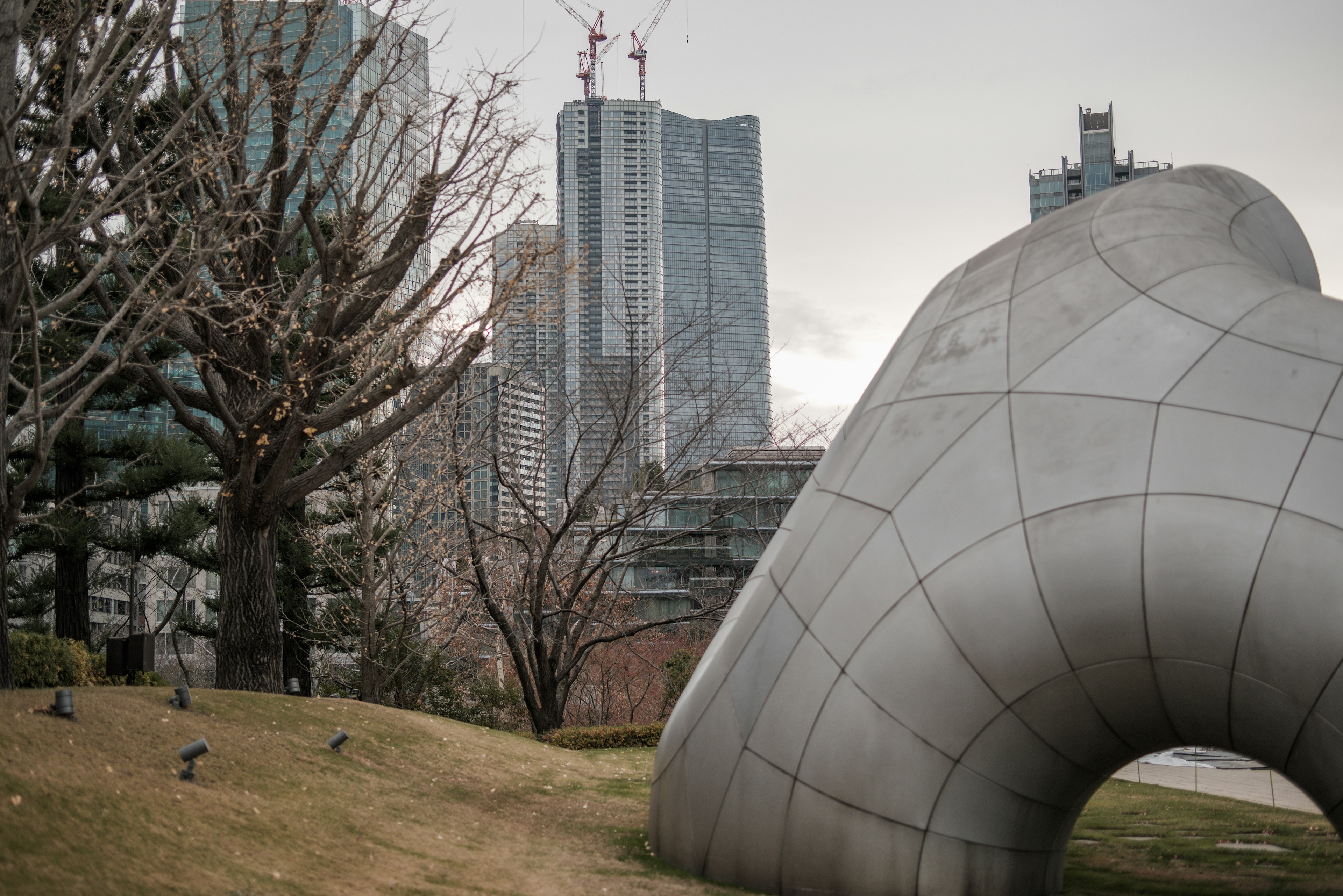 現代的な彫刻と高層ビルが並ぶ景観 公園の緑と冬の木々