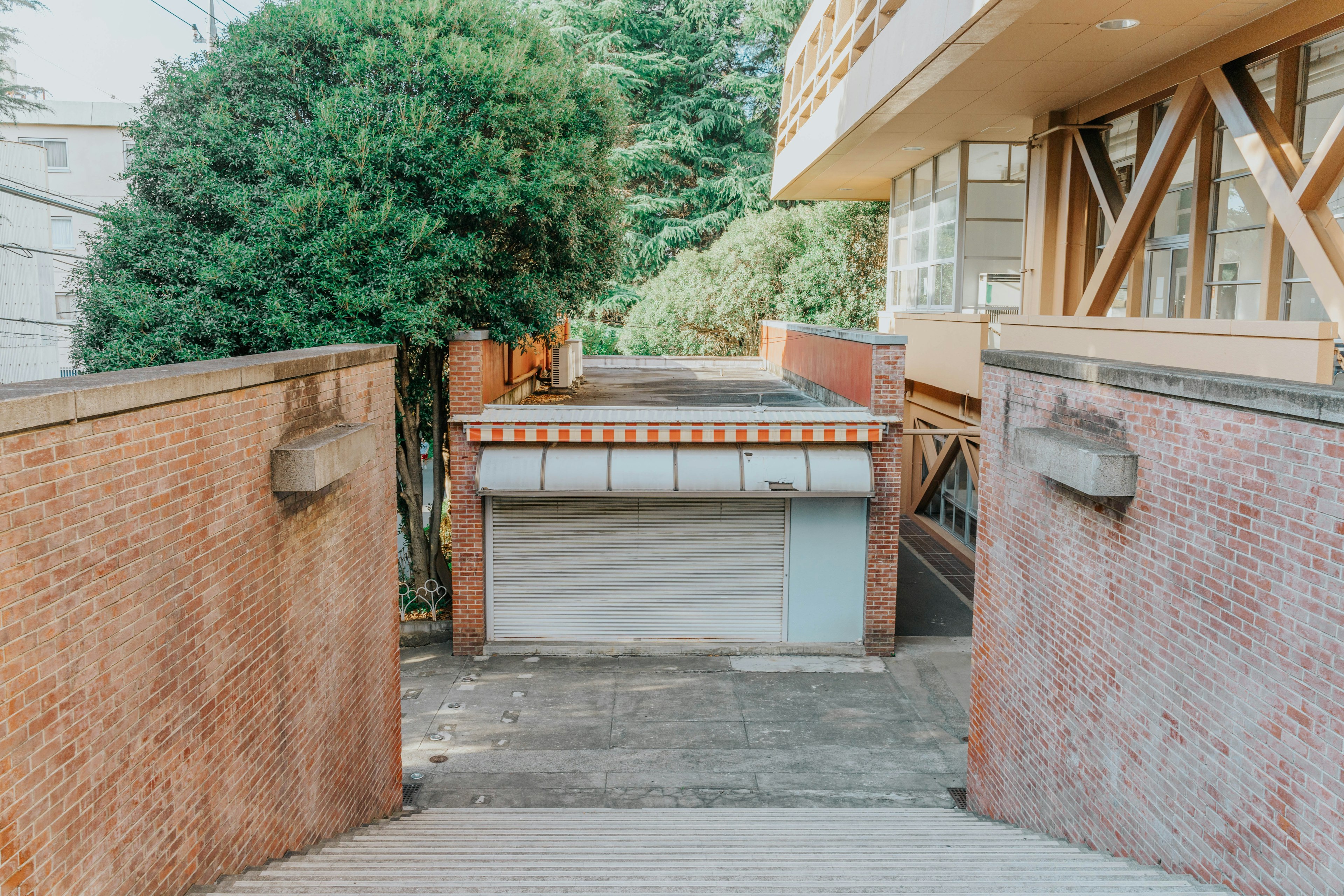 Vue depuis les escaliers montrant un bâtiment et une verdure luxuriante