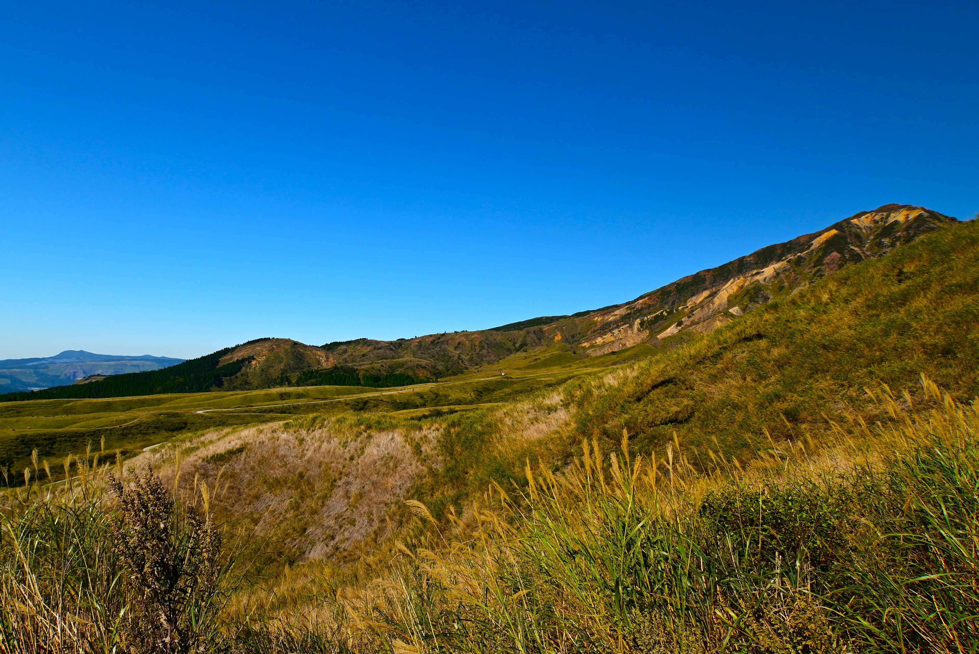 Landscape featuring a clear blue sky and green grasslands