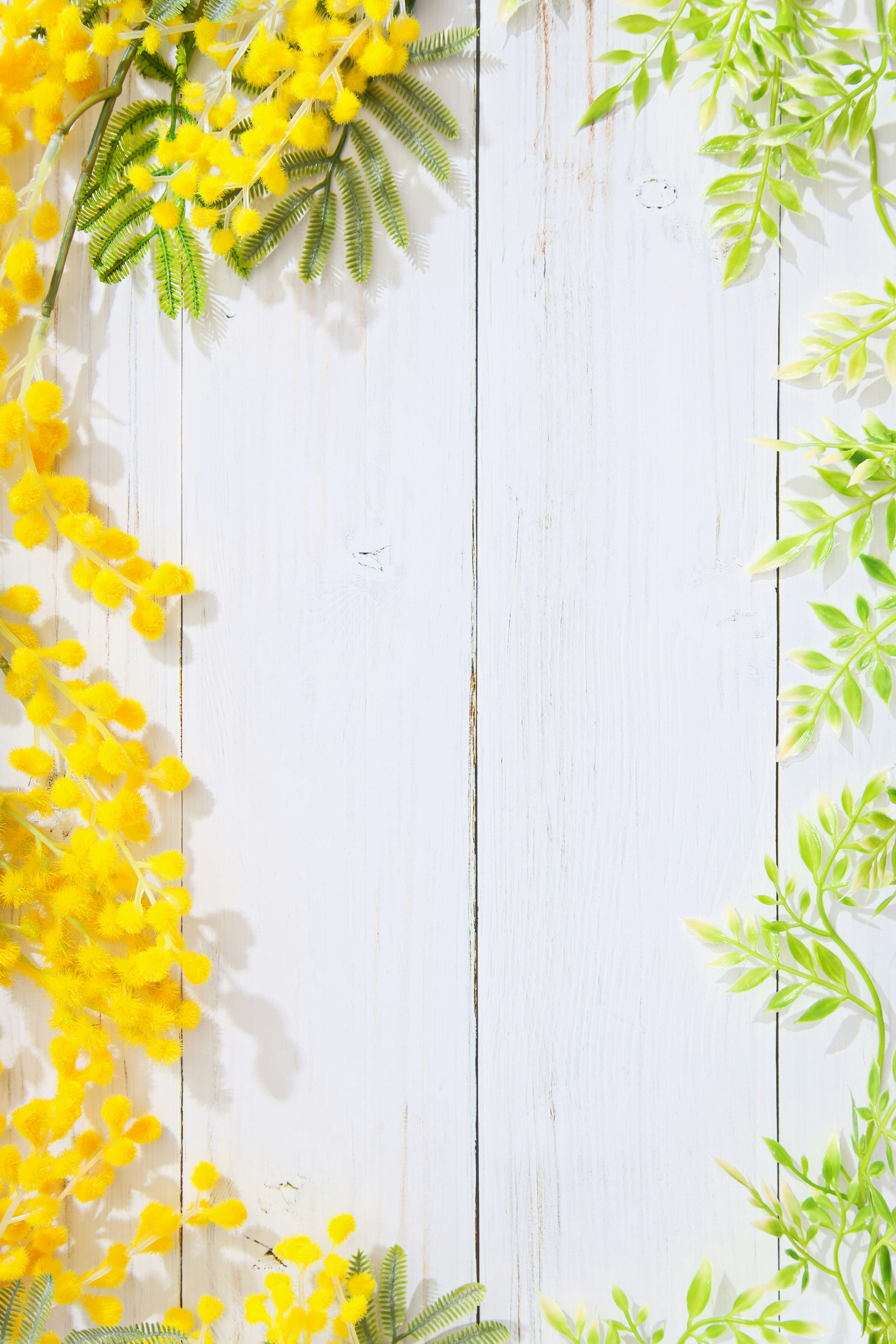 Fleurs jaunes et feuilles vertes disposées sur un fond en bois blanc