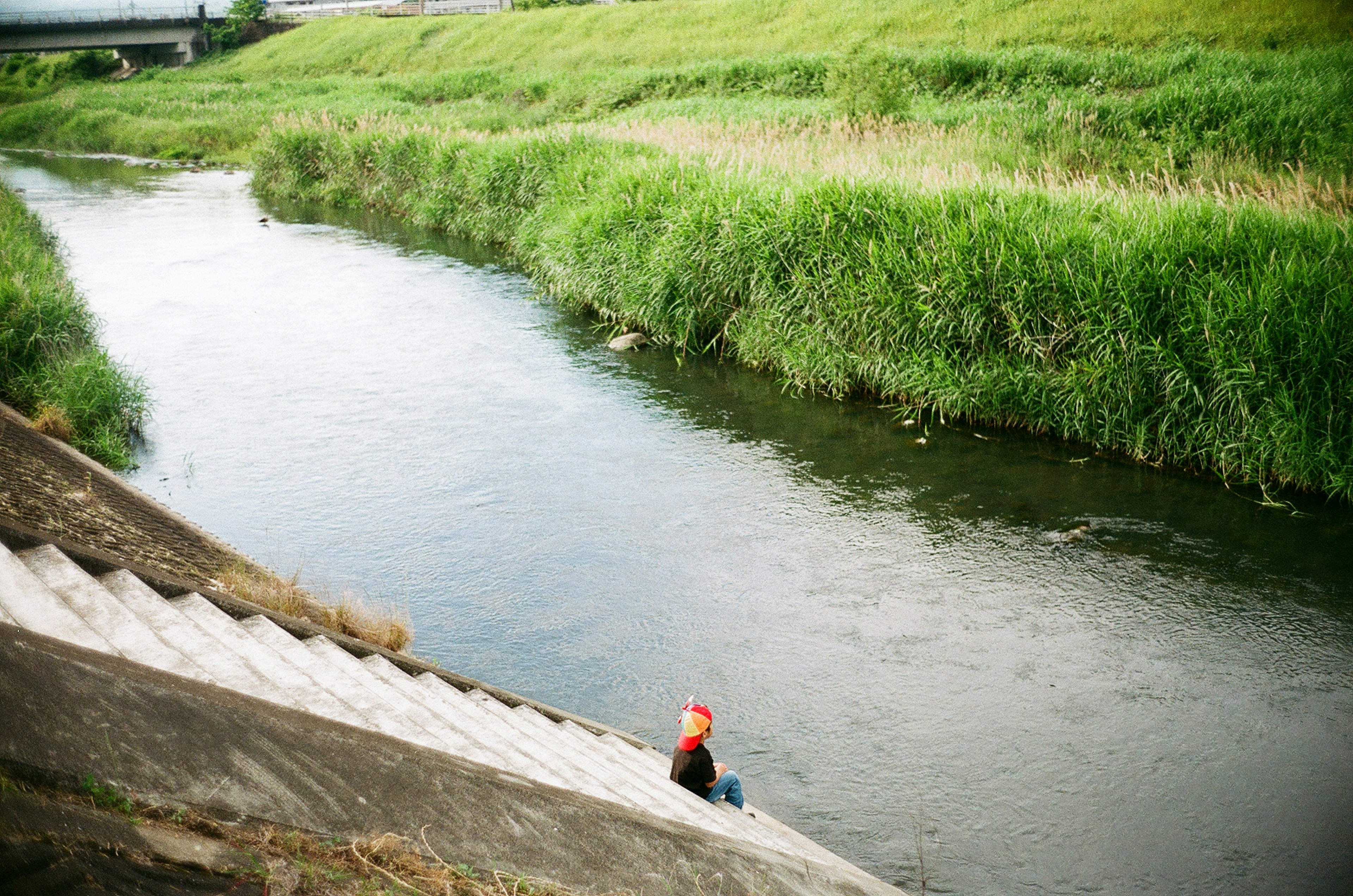 Persona sentada junto al río con hierba verde exuberante